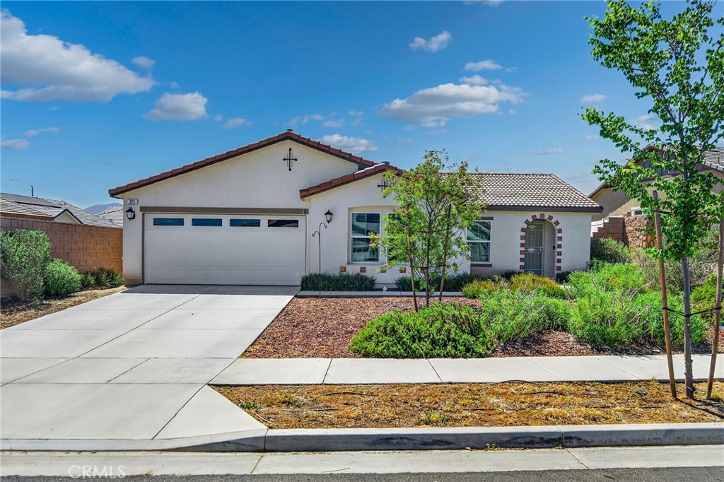 573 Corkwood Street