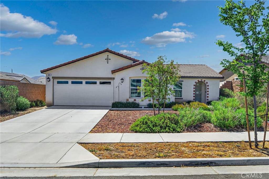 573 Corkwood Street