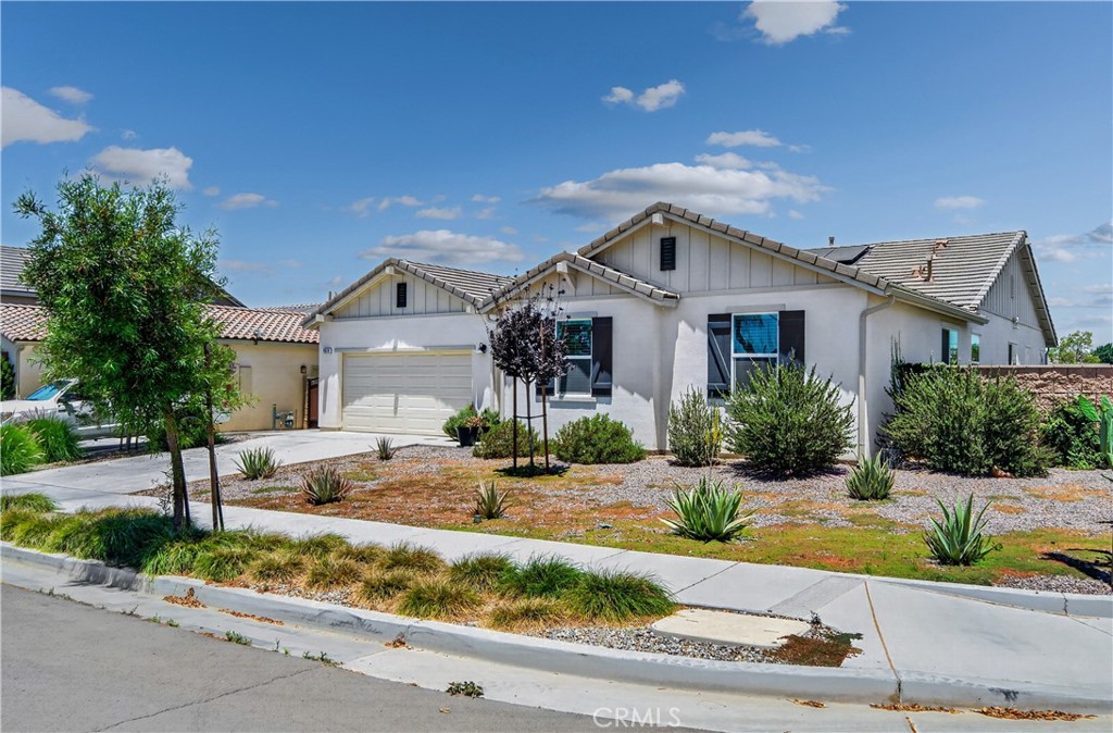 9019 Black Thorn Street
