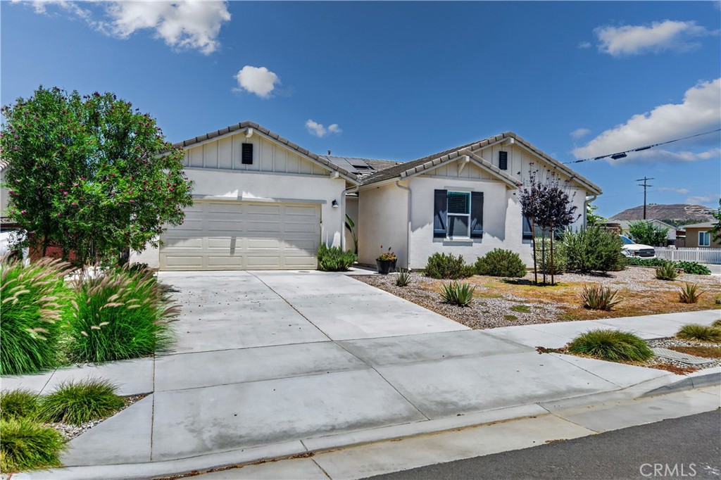 9019 Black Thorn Street