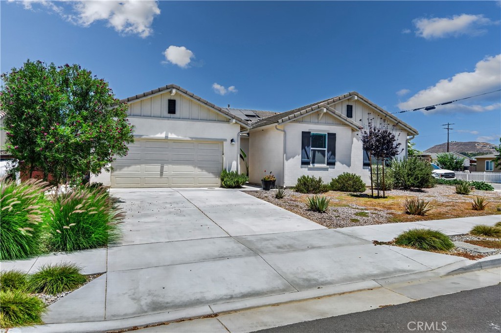 9019 Black Thorn Street