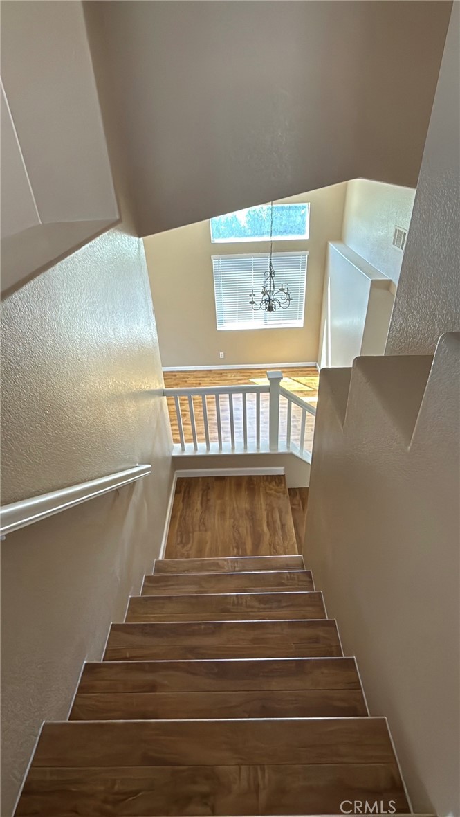 23532 Mountain Breeze