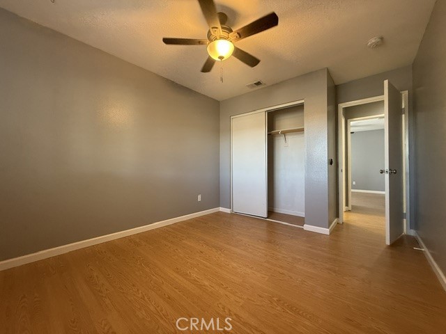 42171 Orange Blossom