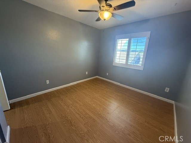 42171 Orange Blossom