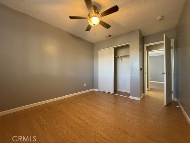 42171 Orange Blossom