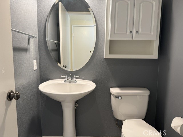 42171 Orange Blossom