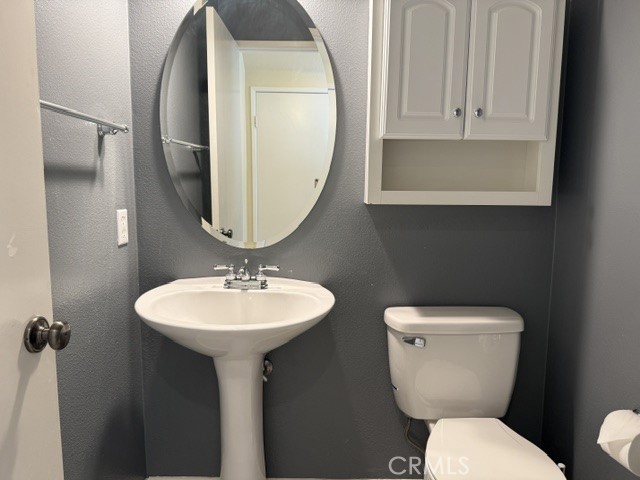 42171 Orange Blossom