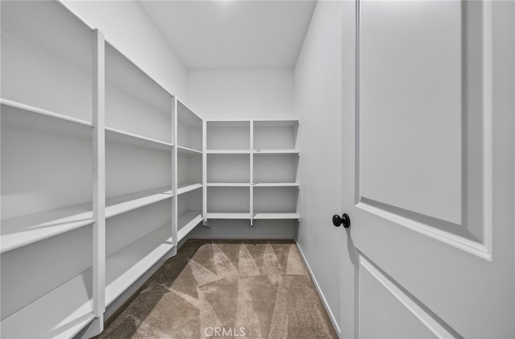 24537 Stargazer Way