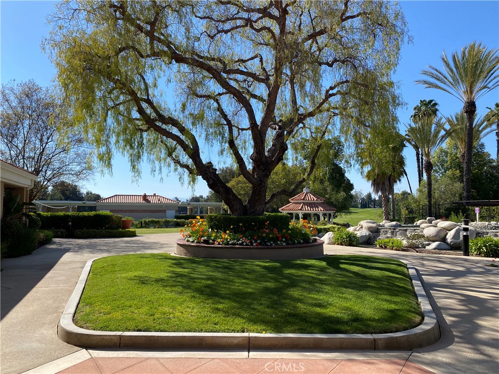 42145 Delmonte