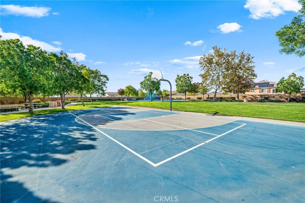 31166 Millbury Drive
