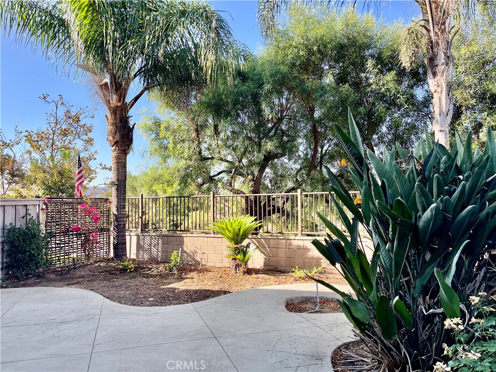 25192 Meadow Walk 1