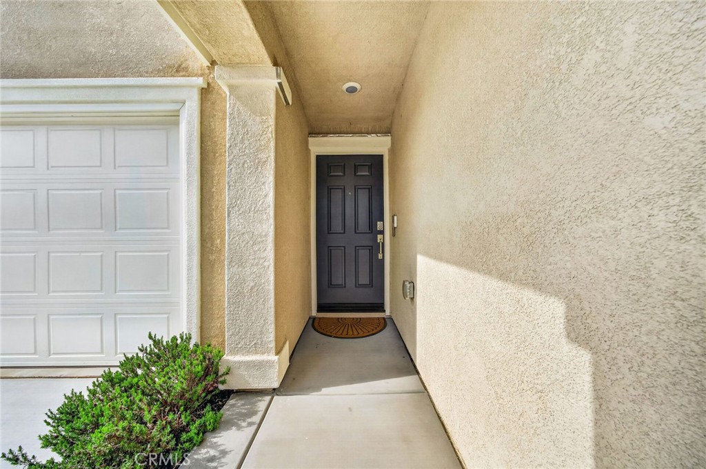 31121 Water Beech Drive