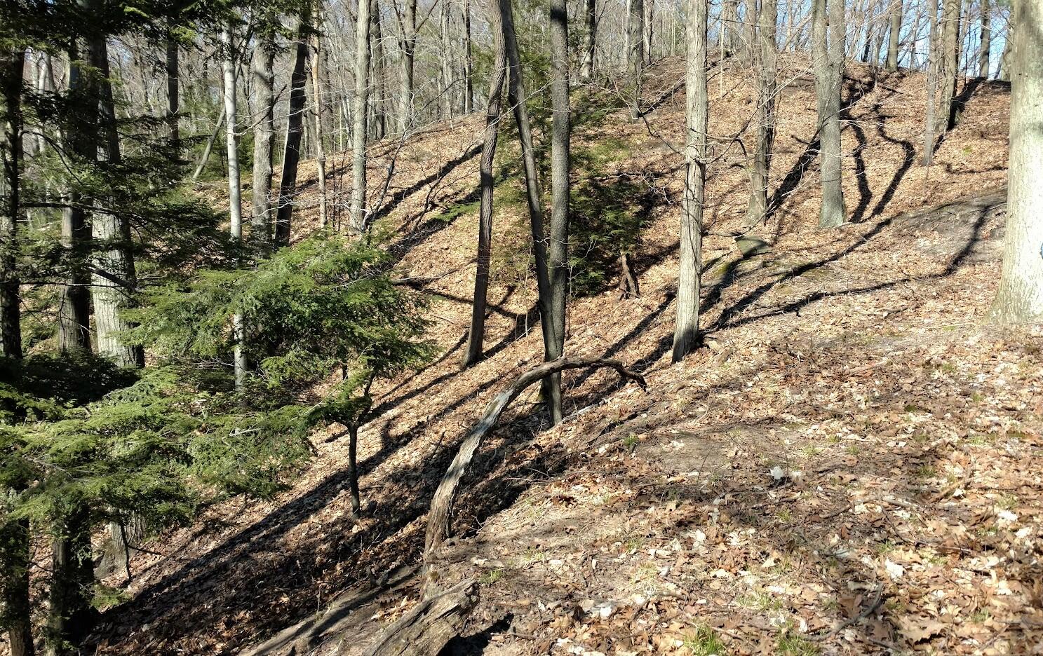 V/L Upper Ridge Road, #6