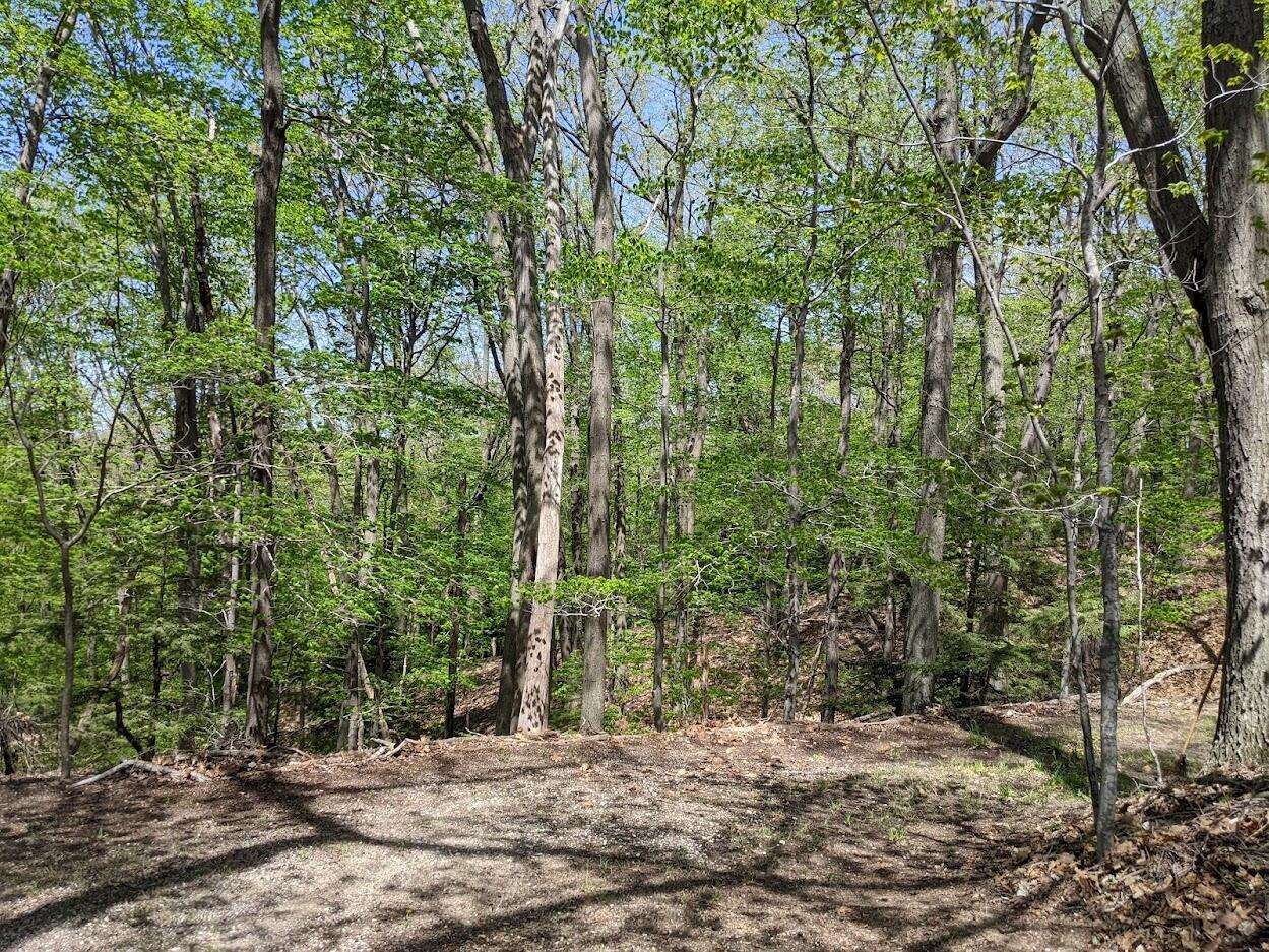 V/L Upper Ridge Road, #6