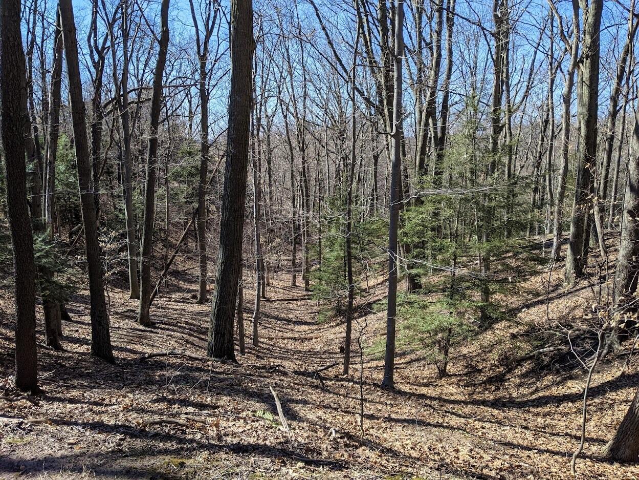 V/L Upper Ridge Road, #6