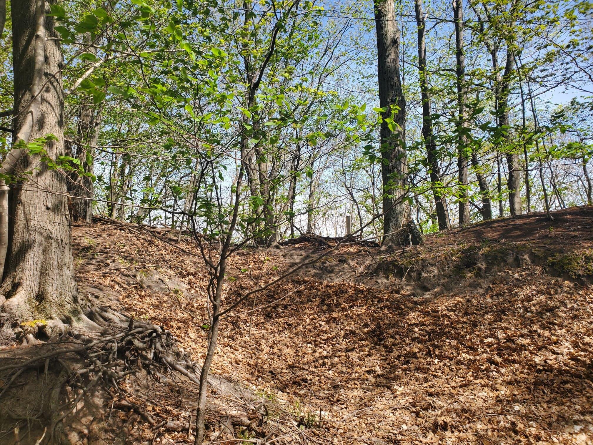 V/L Upper Ridge Road, #6