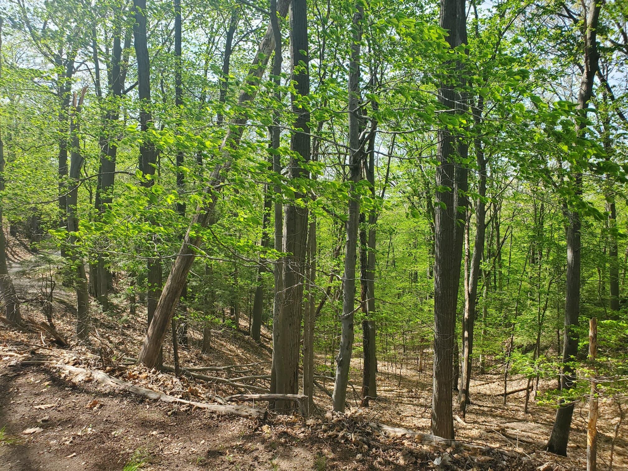 V/L Upper Ridge Road, #6