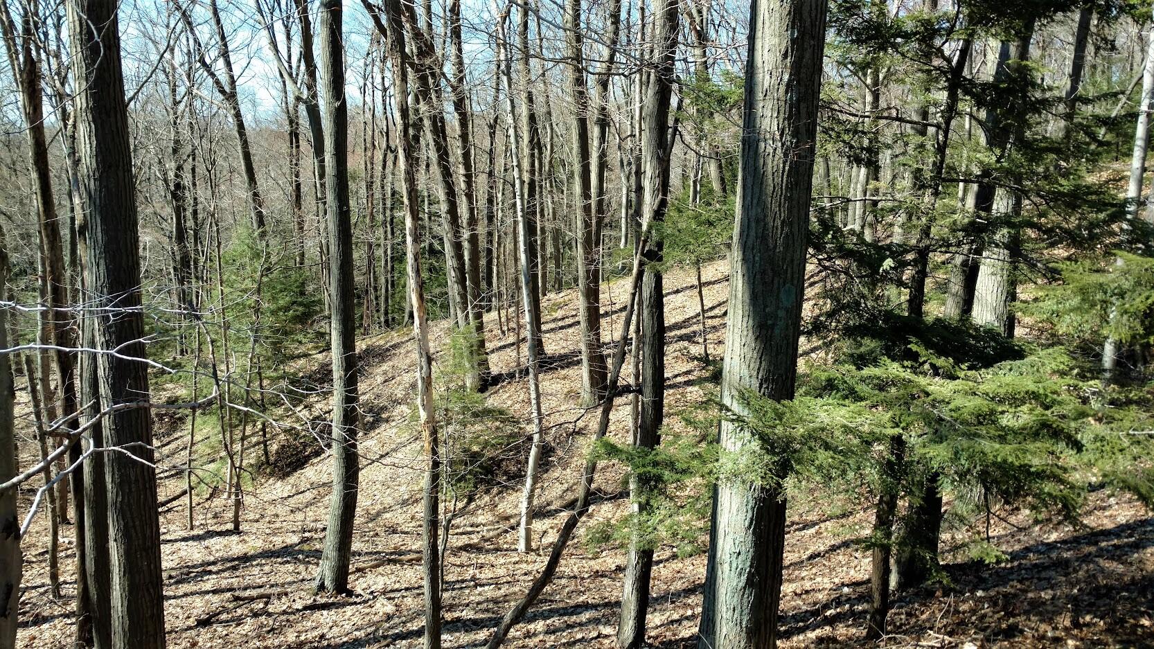 V/L Upper Ridge Road, #6