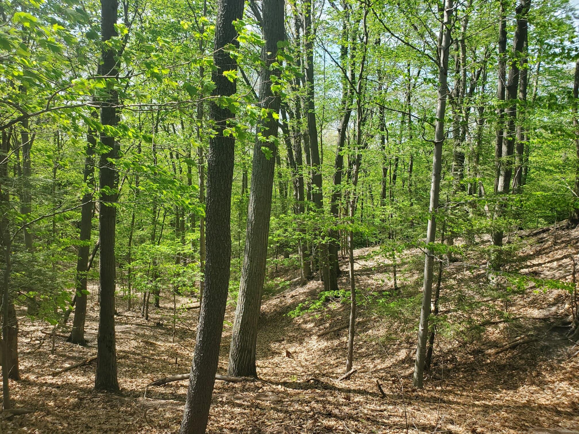 V/L Upper Ridge Road, #6