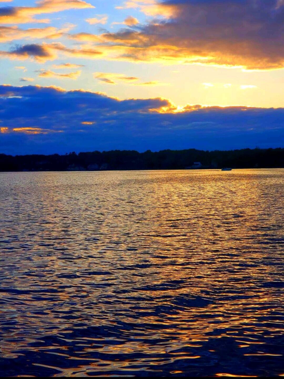 1423 Carleton Street