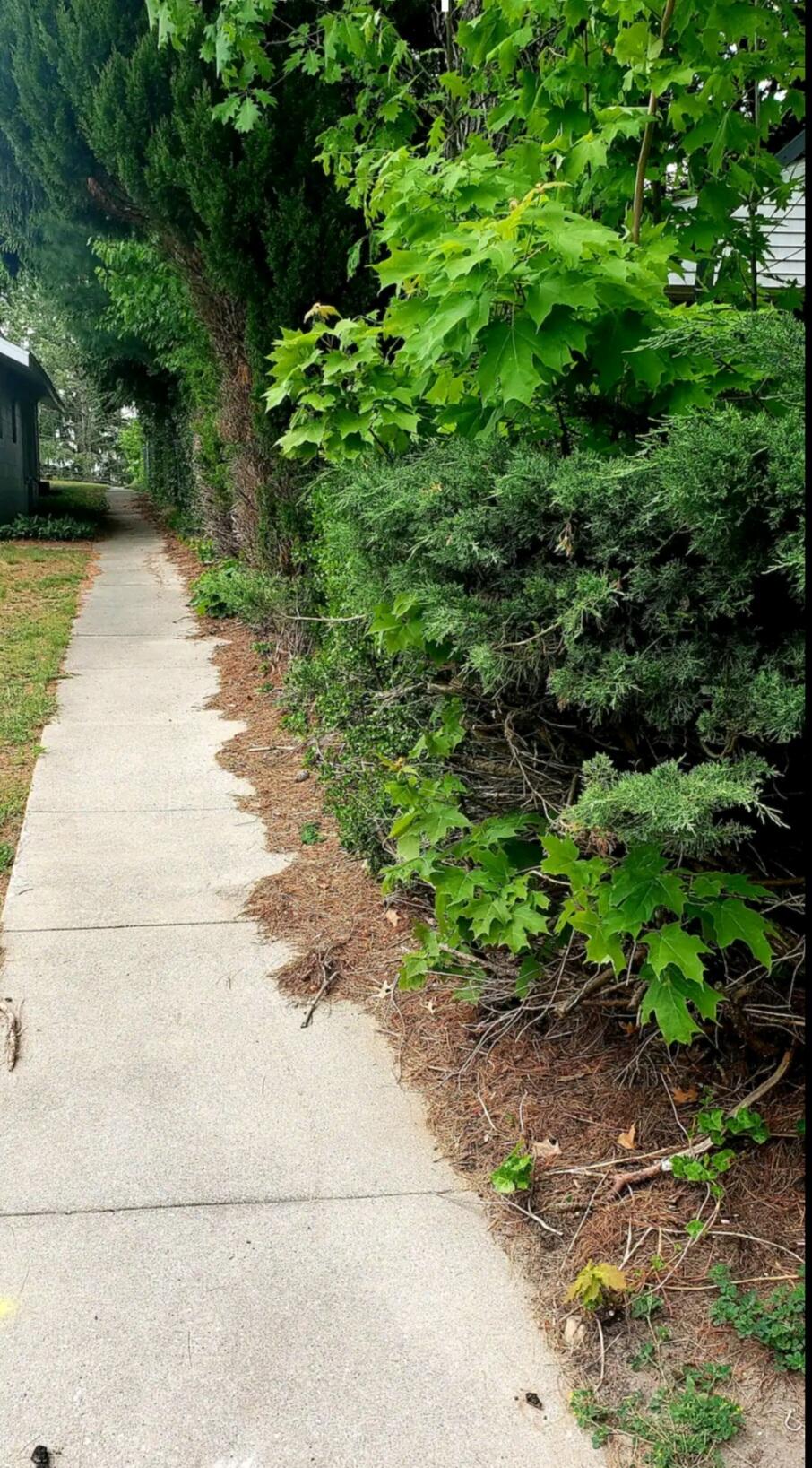 1423 Carleton Street