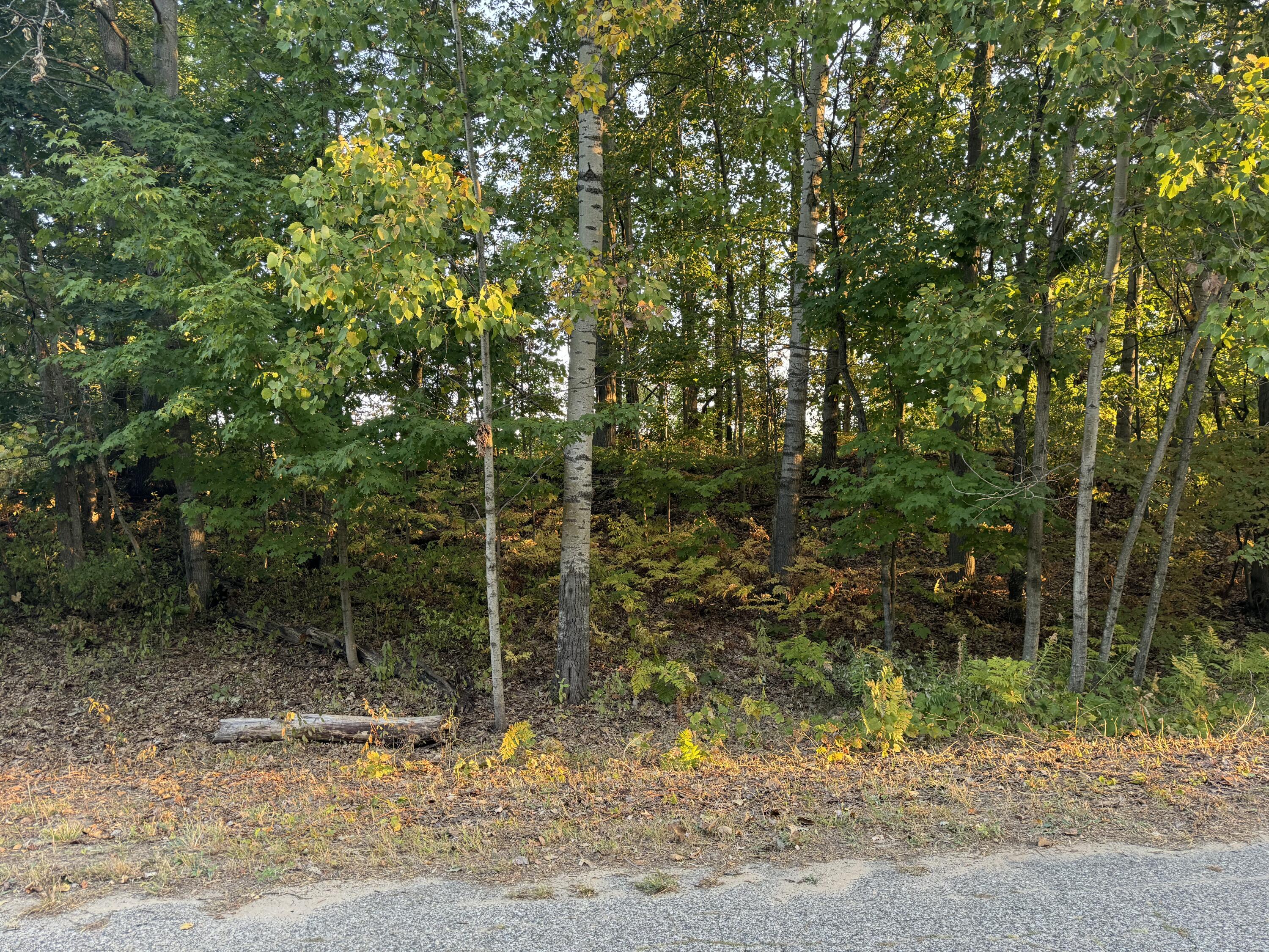 VL W Timberline Drive