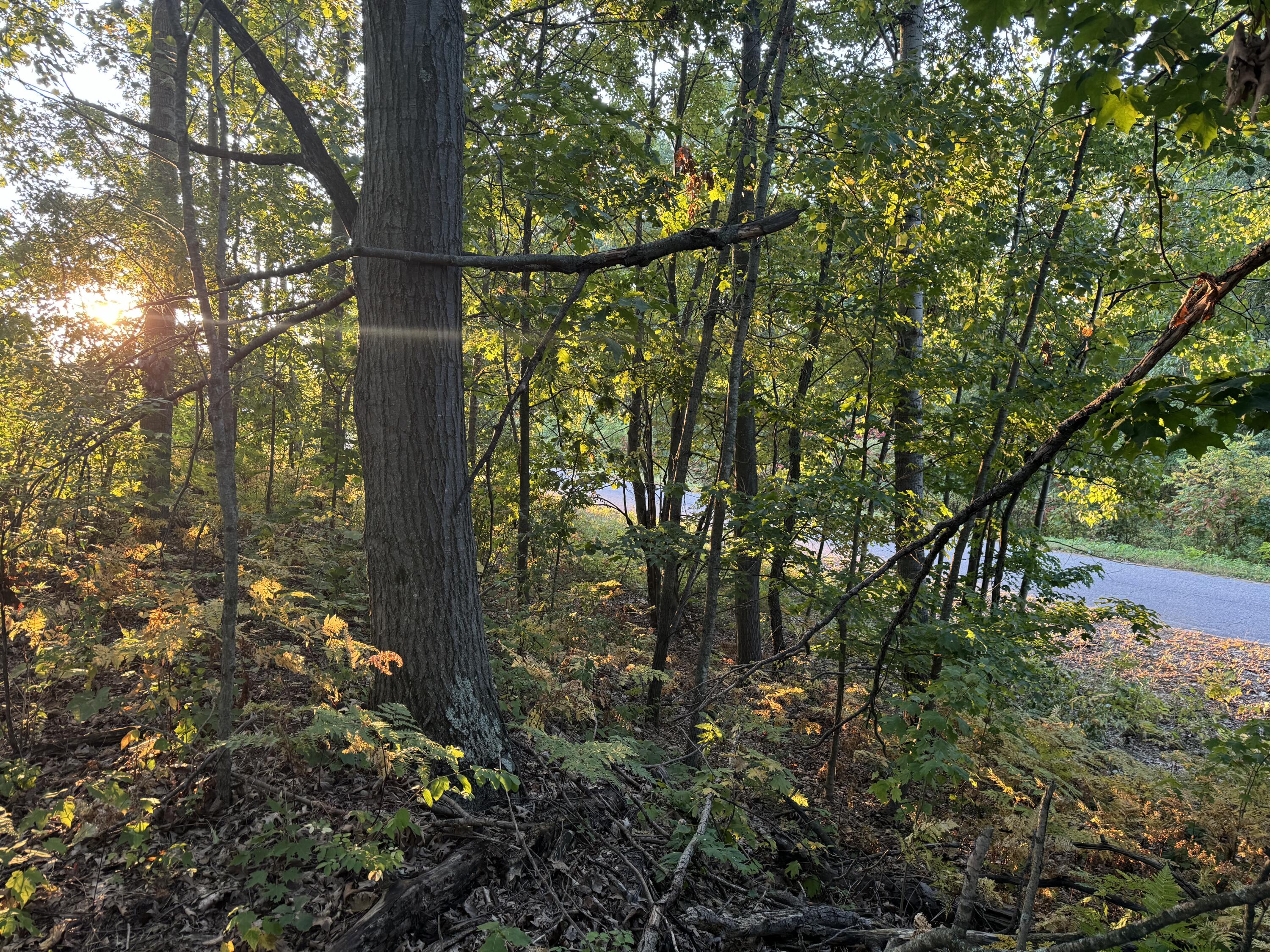 VL W Timberline Drive