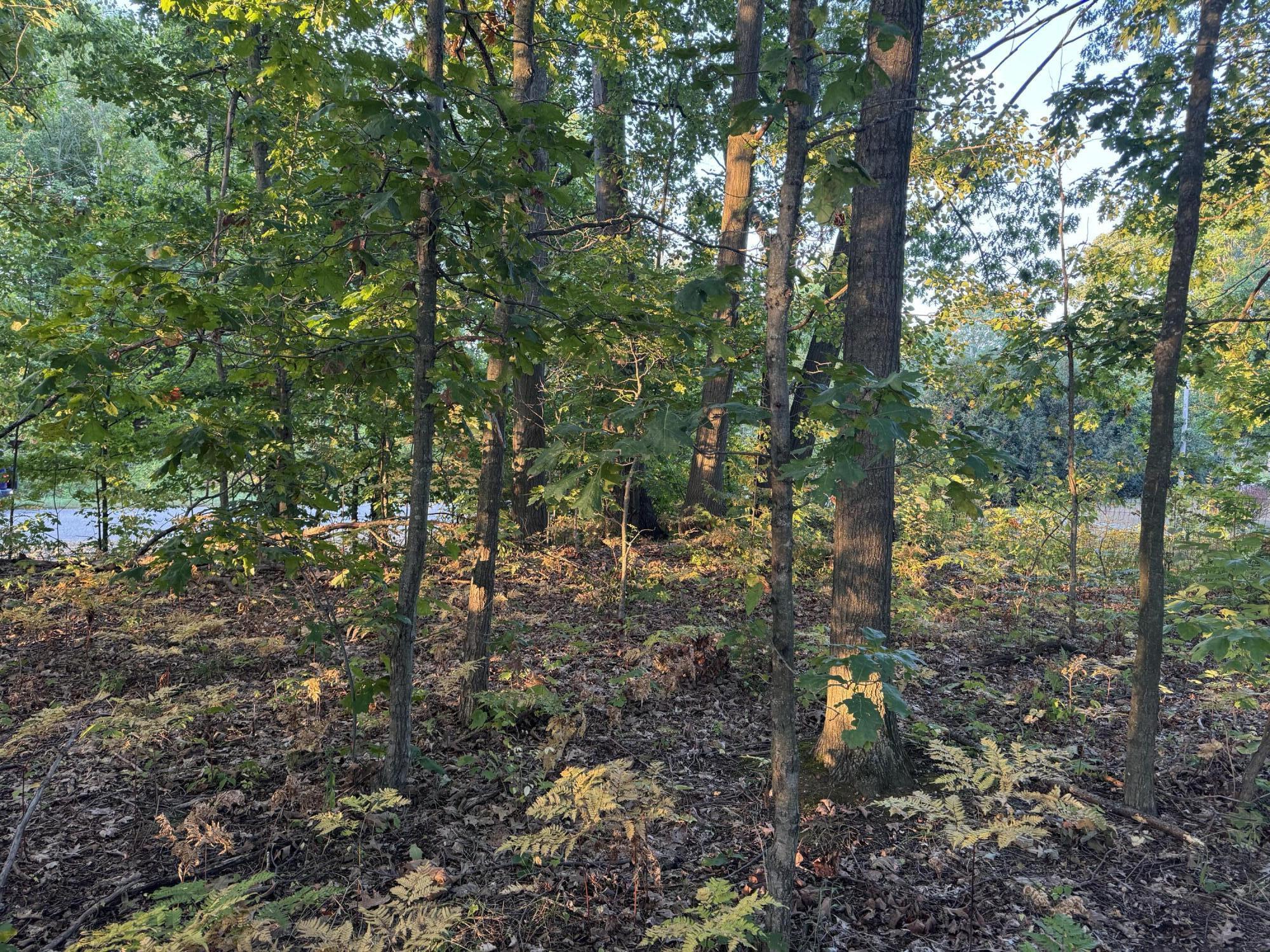 VL W Timberline Drive