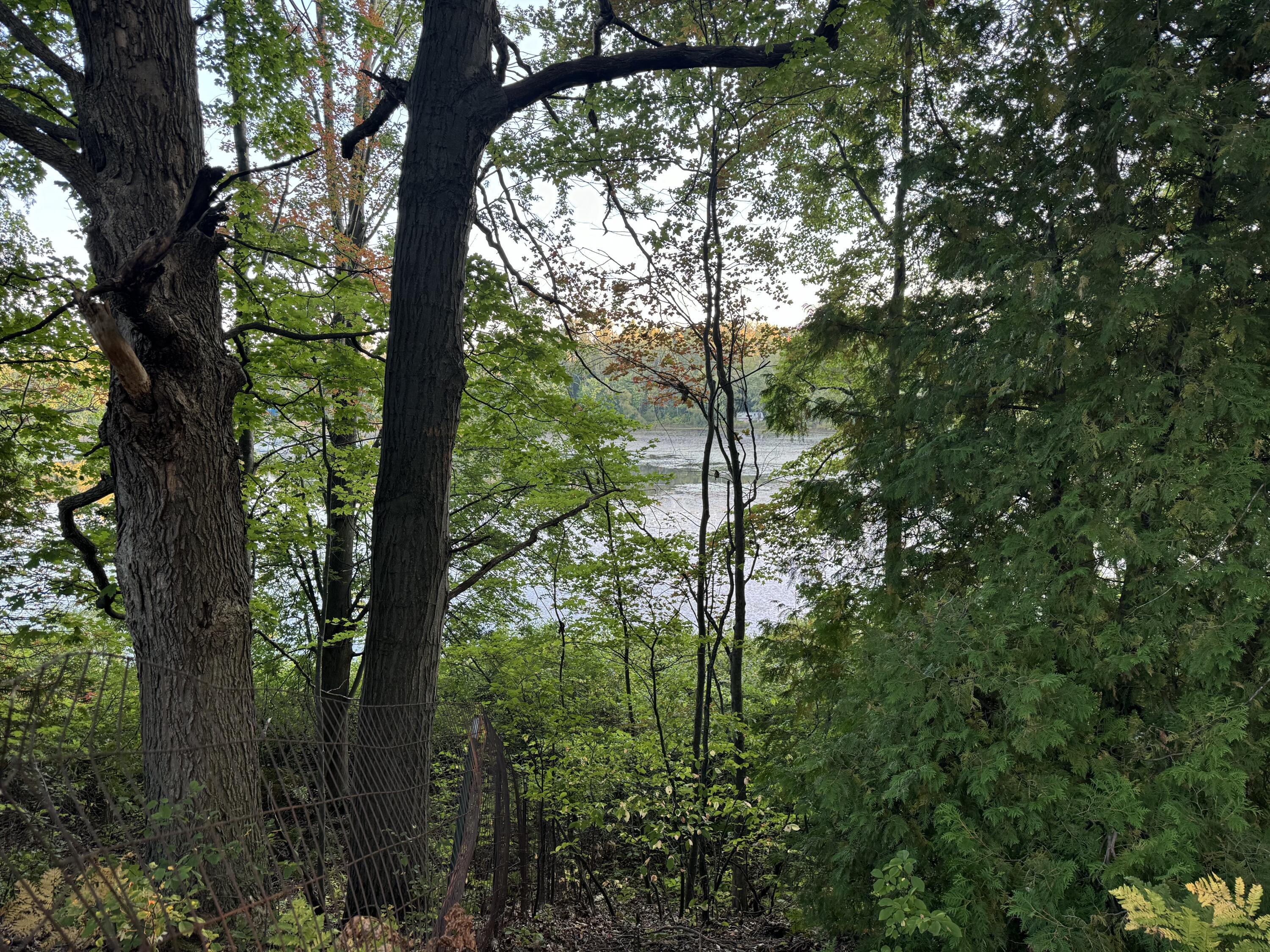 VL W Timberline Drive