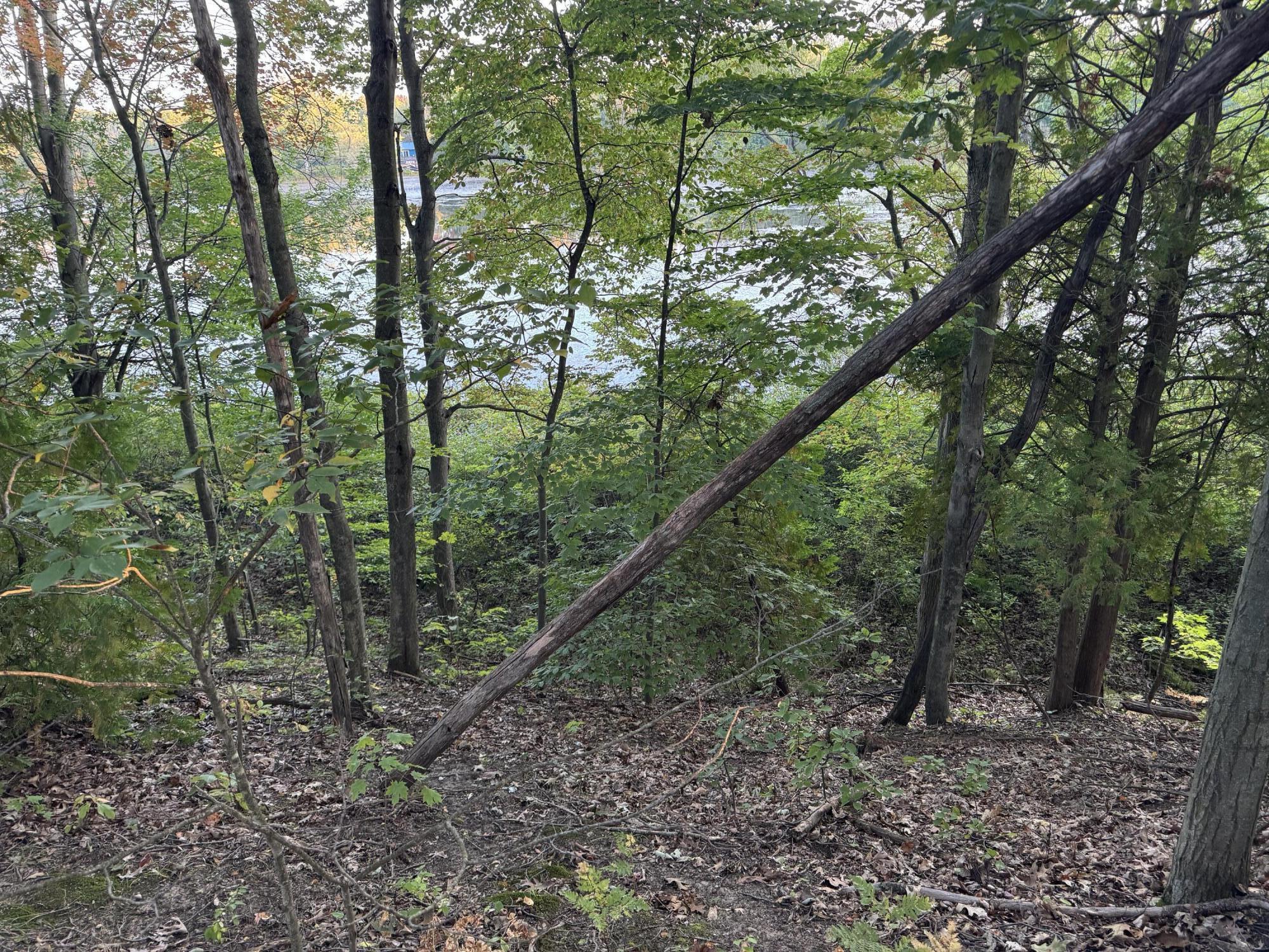 VL W Timberline Drive