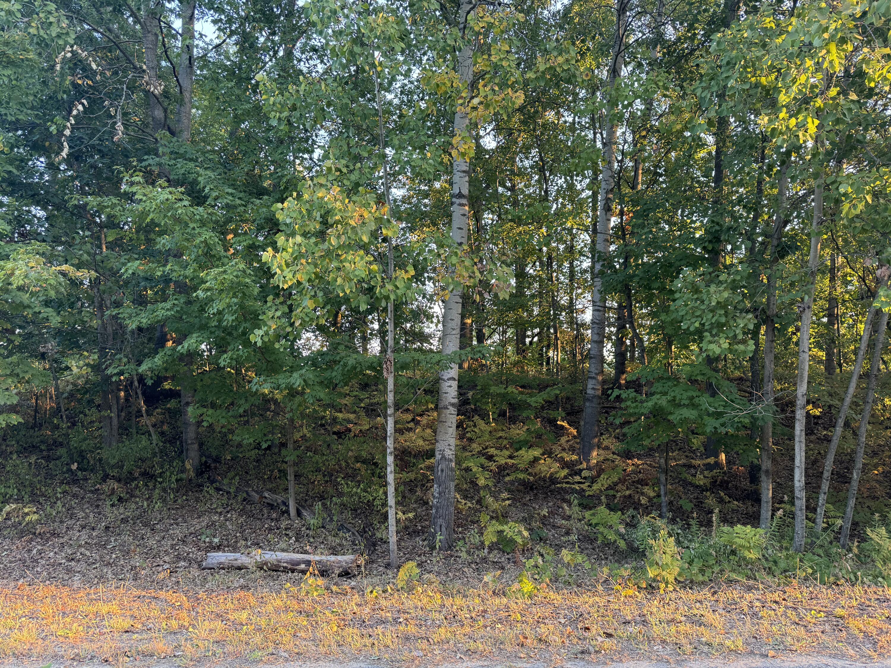 VL W Timberline Drive