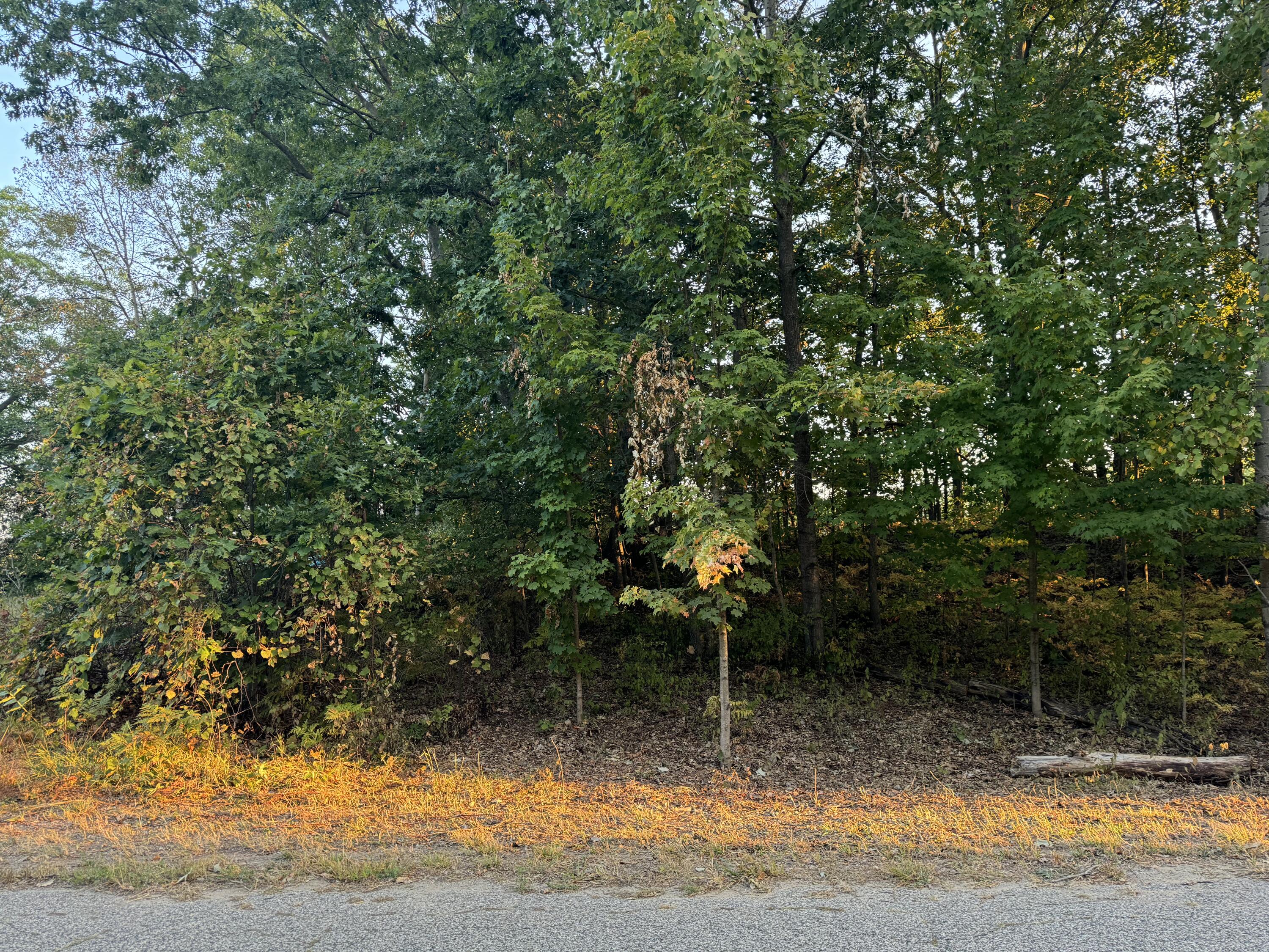 VL W Timberline Drive