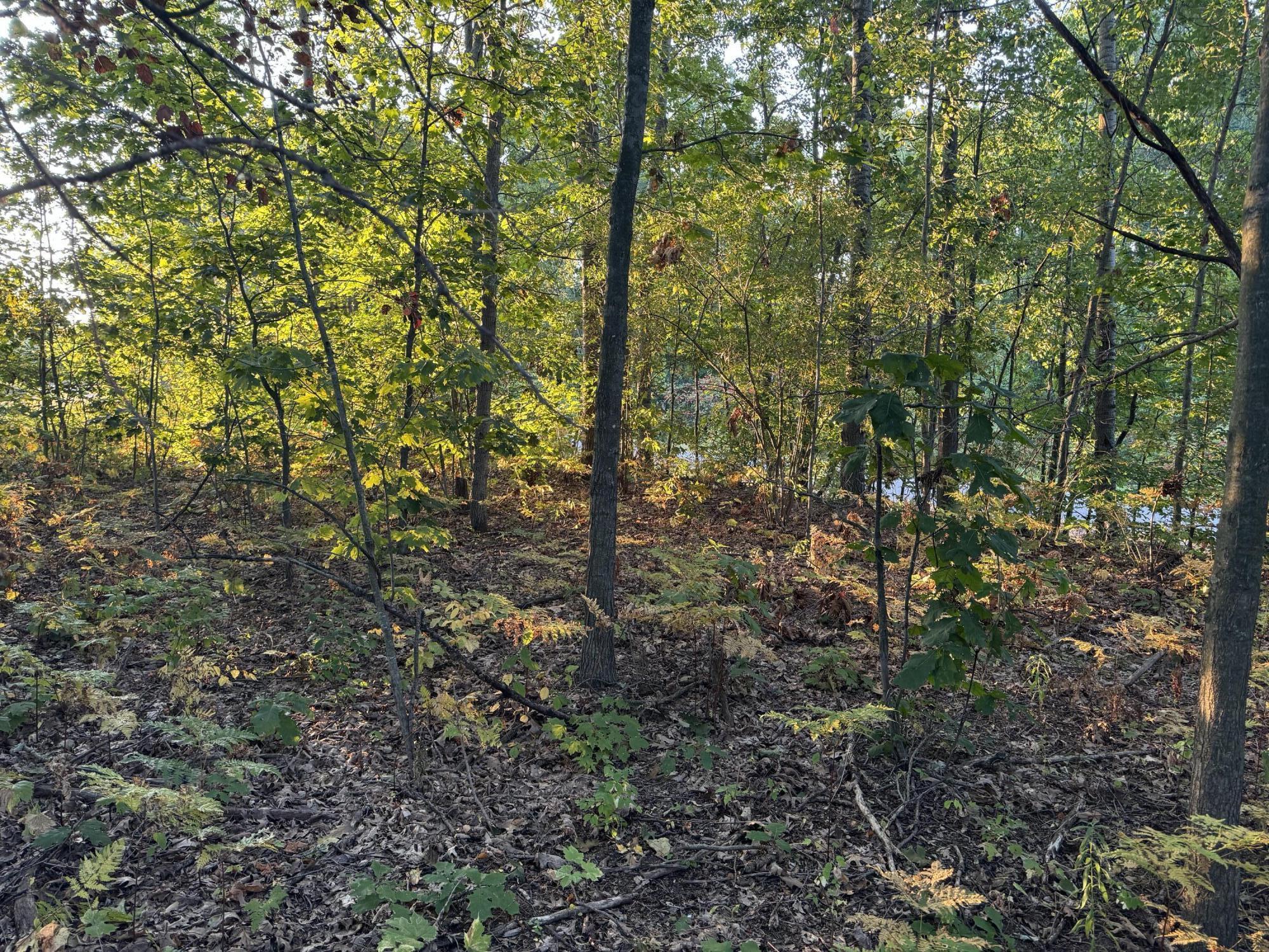 VL W Timberline Drive