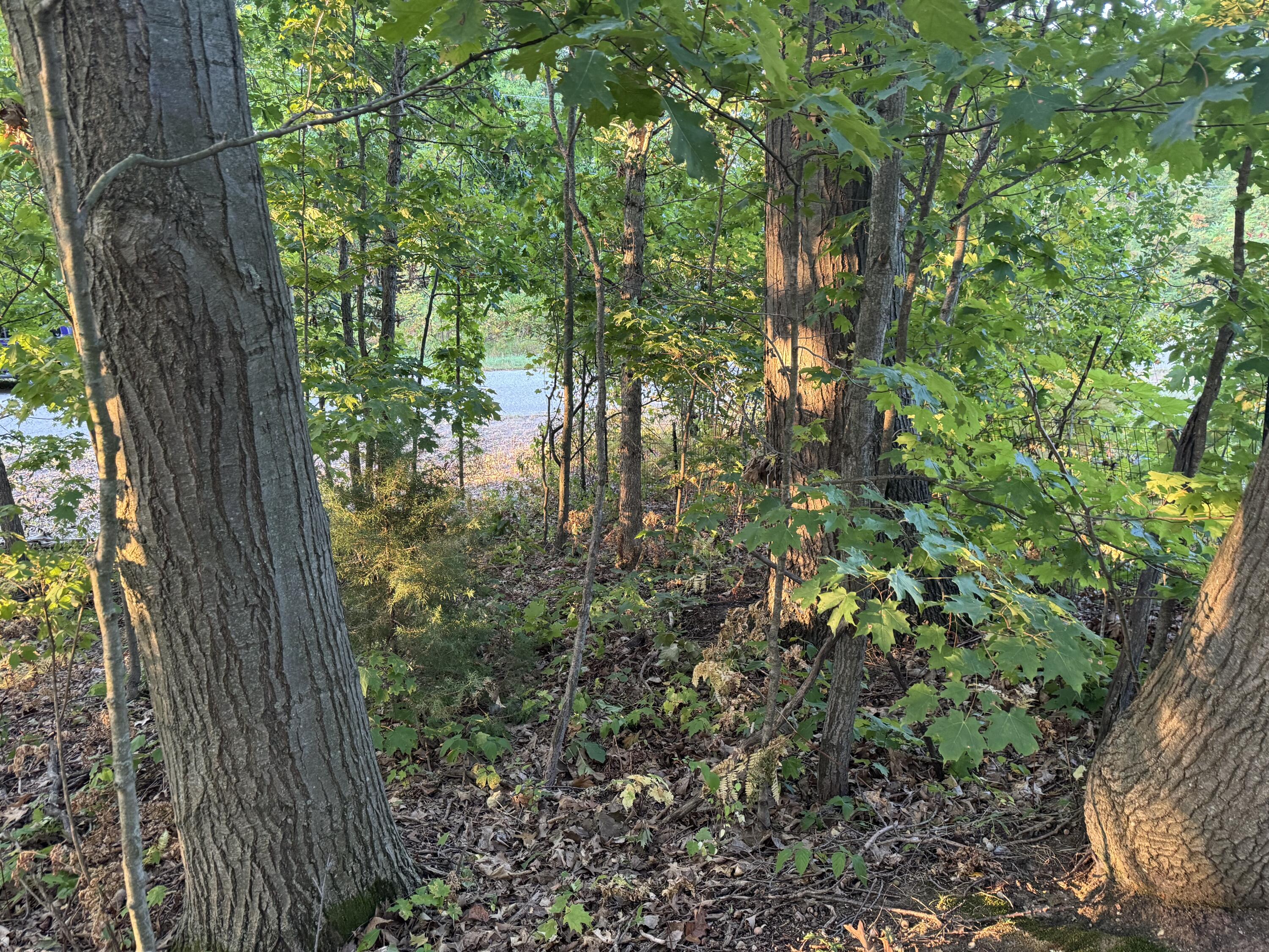 VL W Timberline Drive