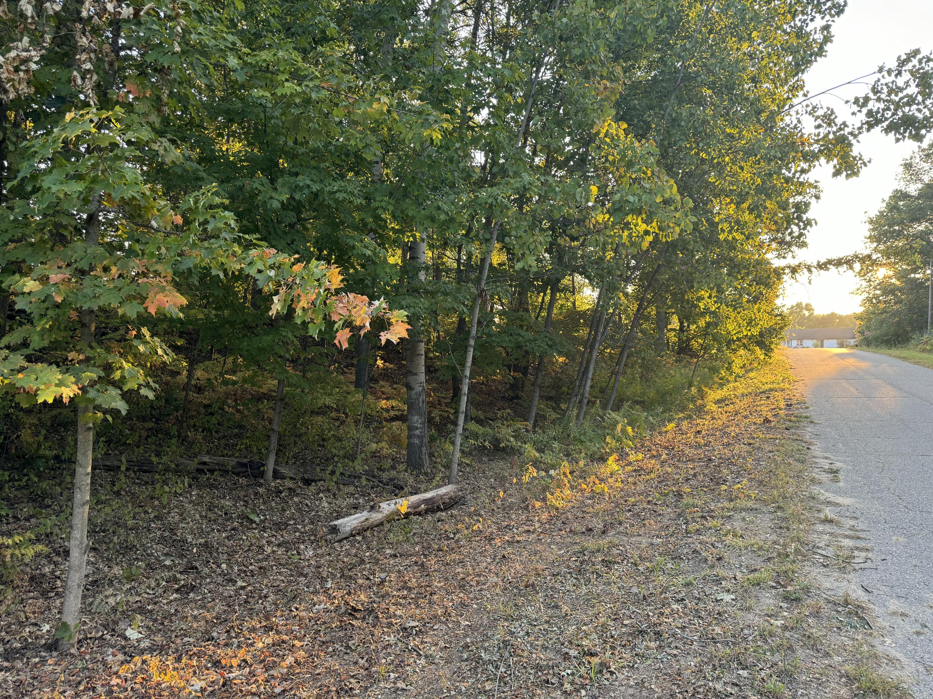 VL W Timberline Drive