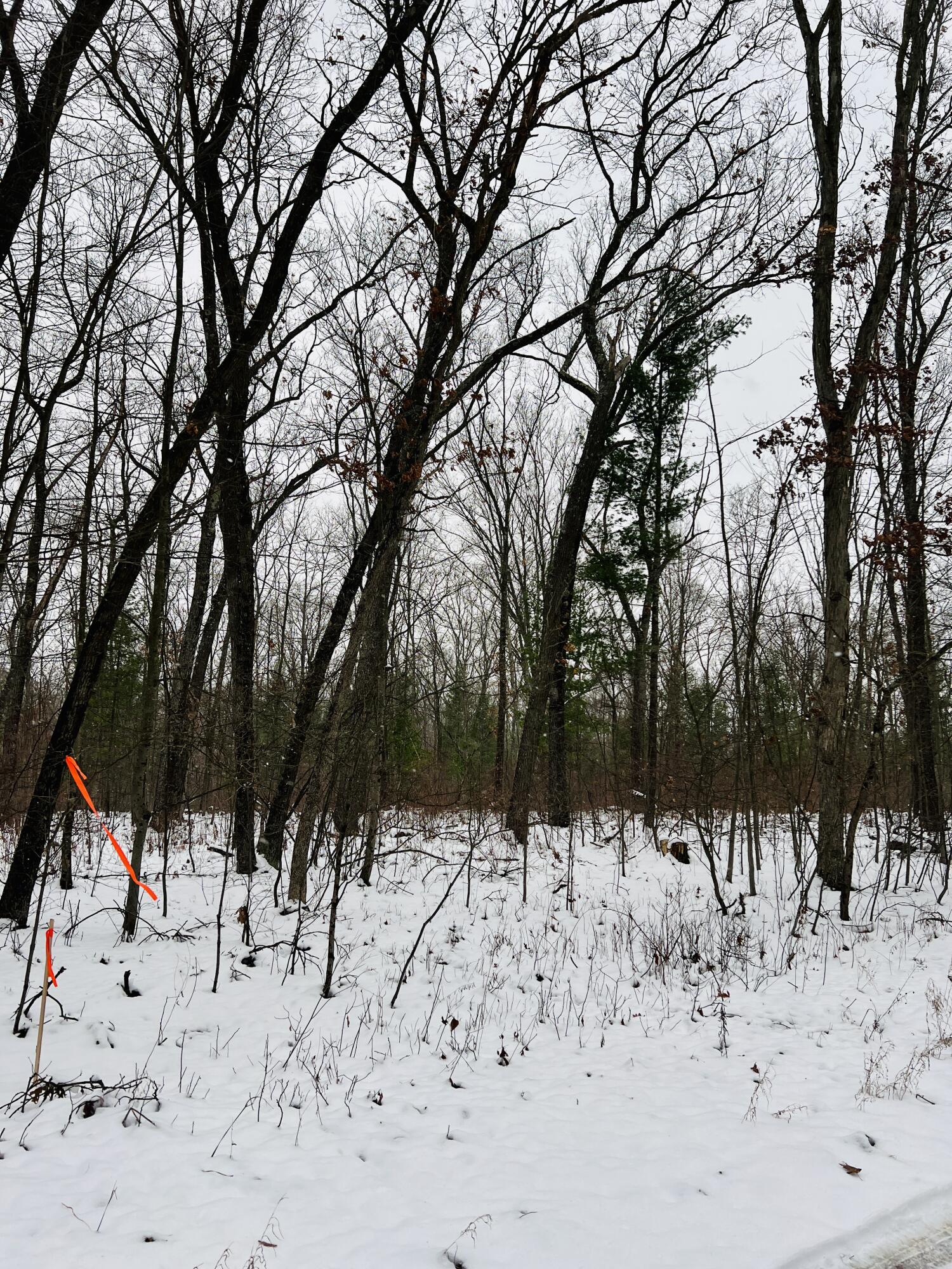 VL Wilke Road, Parcel B