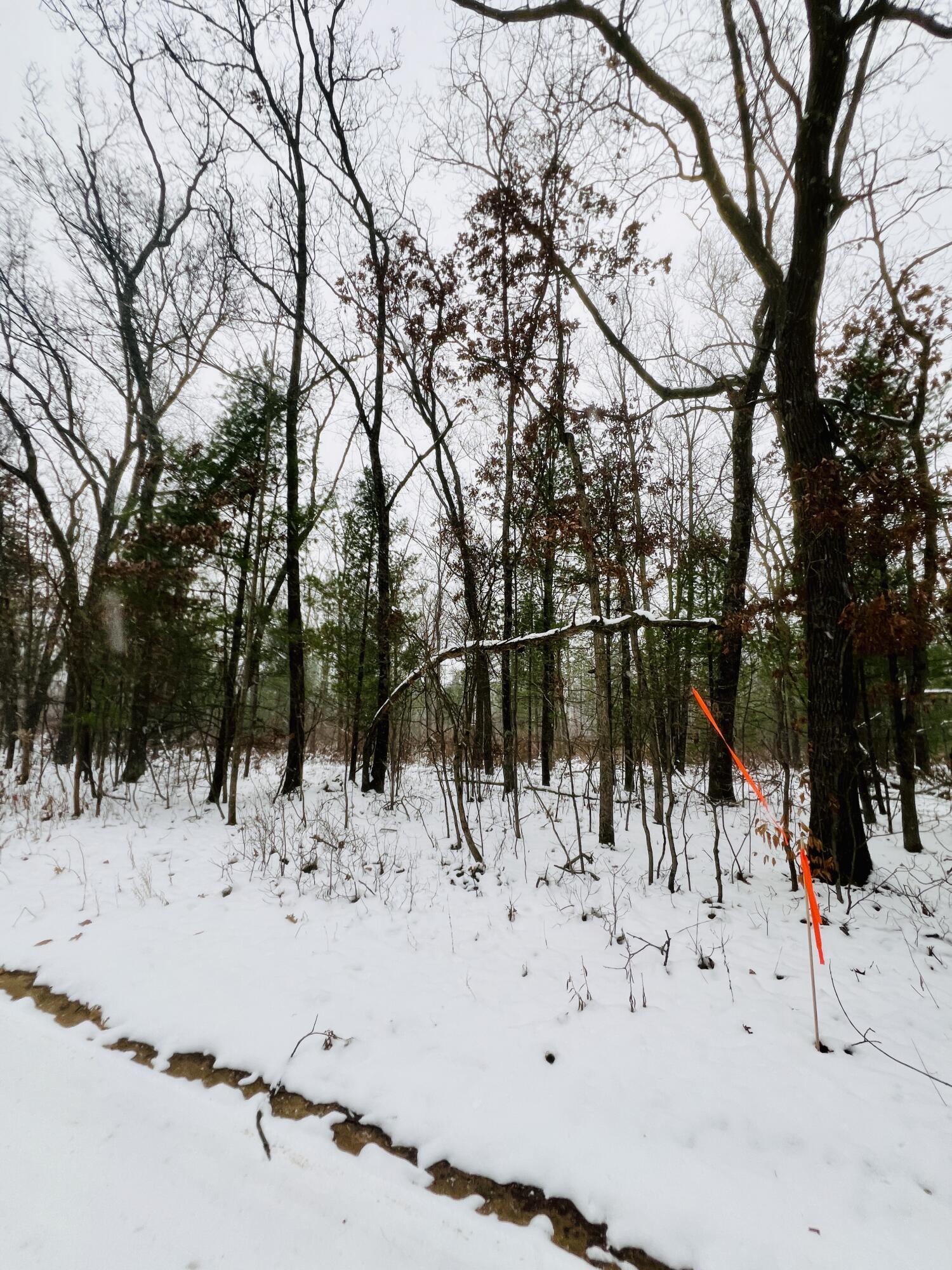 VL Wilke Road, Parcel B