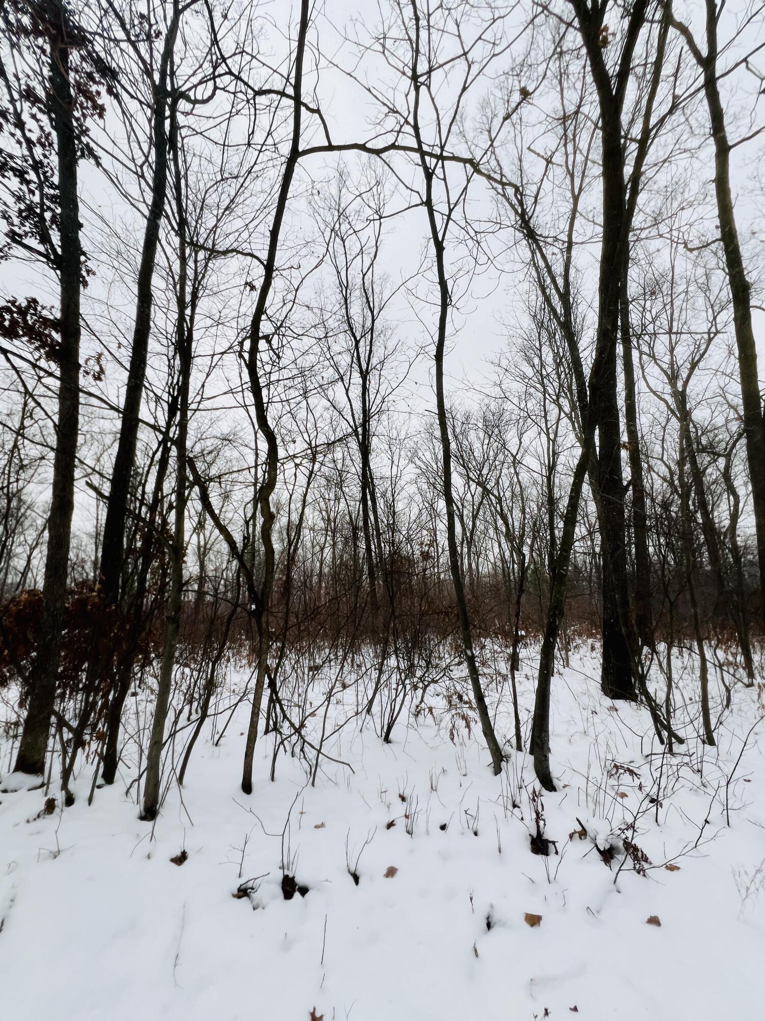 VL Wilke Road, Parcel C