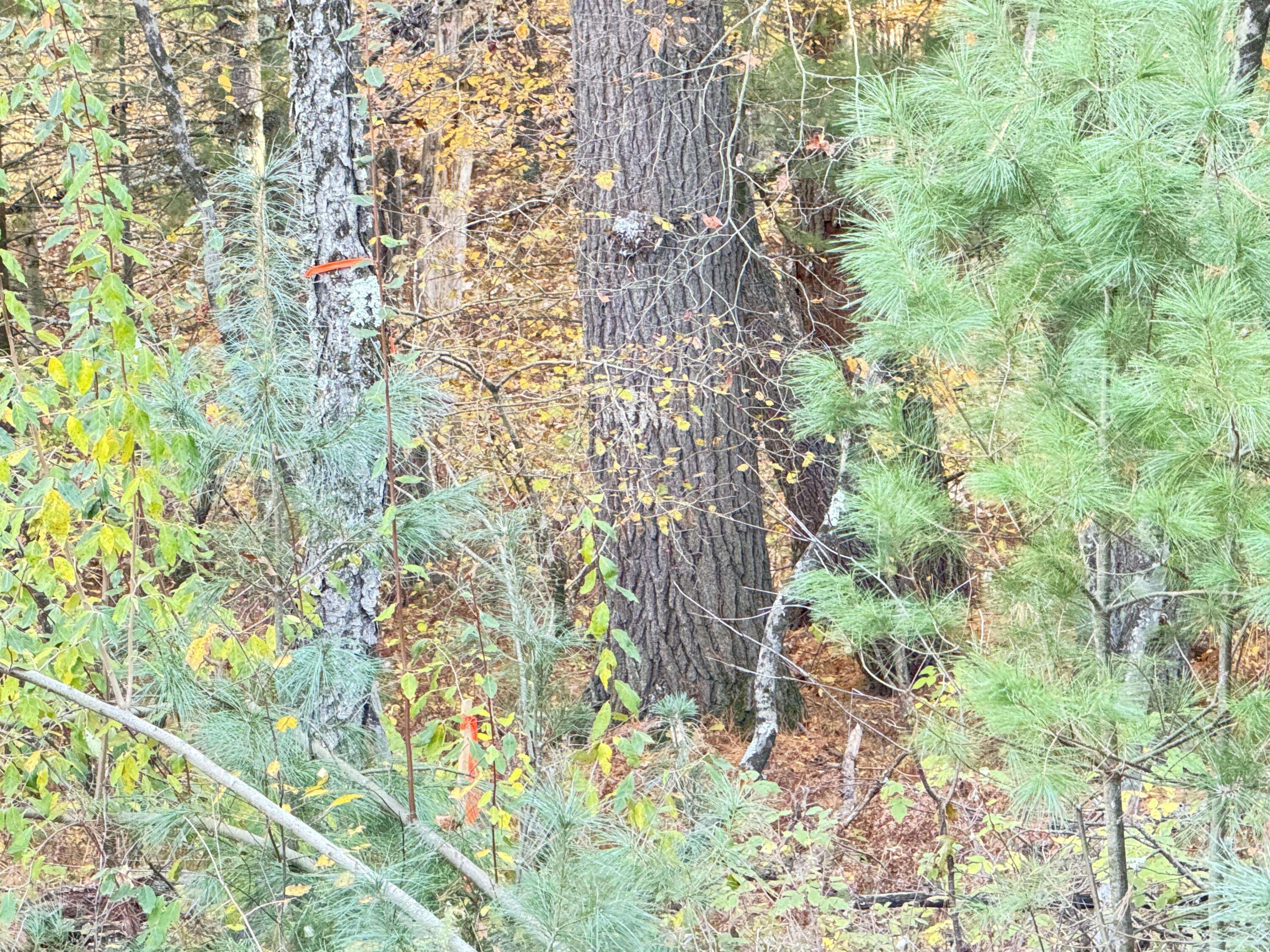 7.32AC E 58Th Street