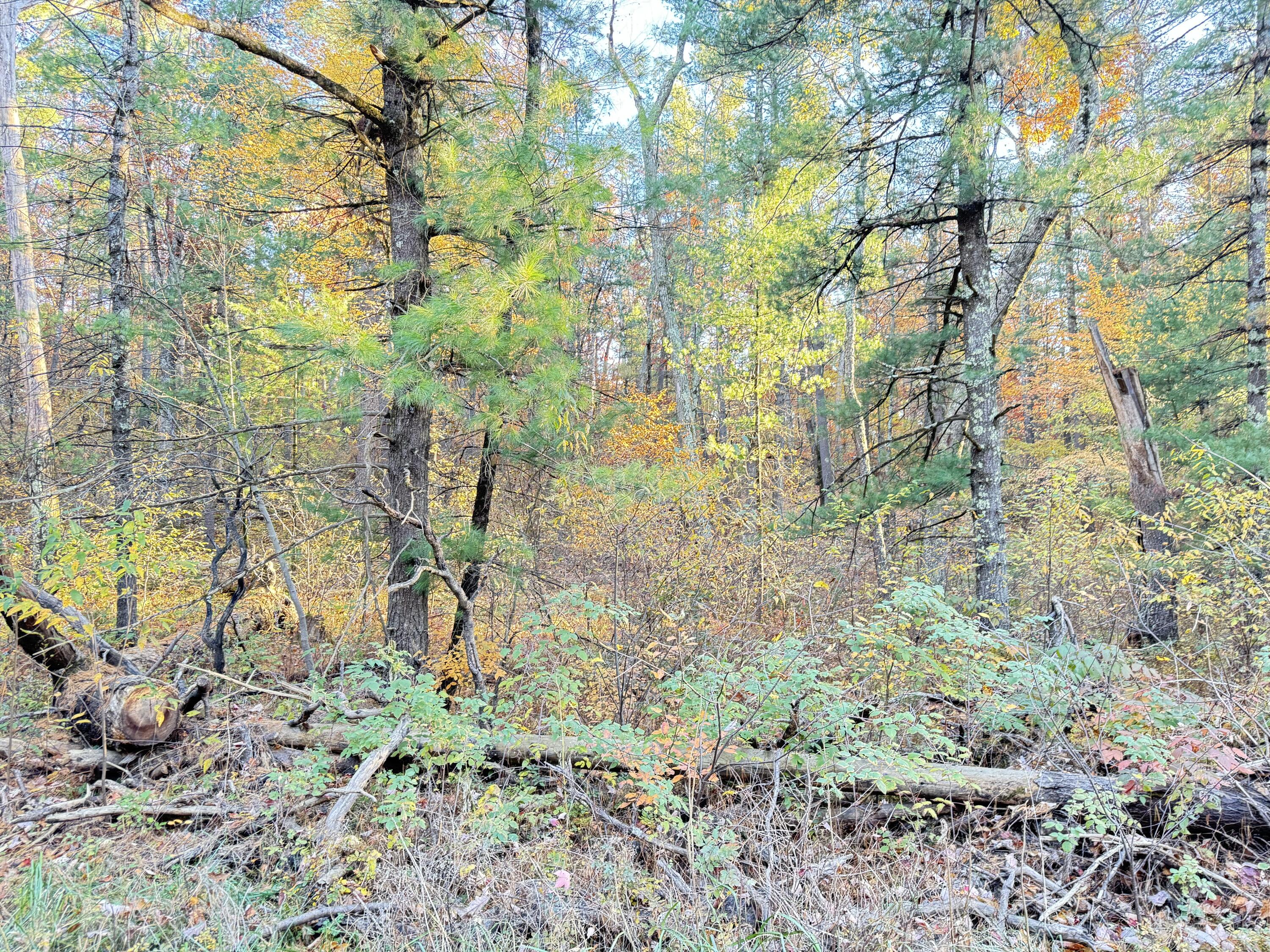 7.32AC E 58Th Street