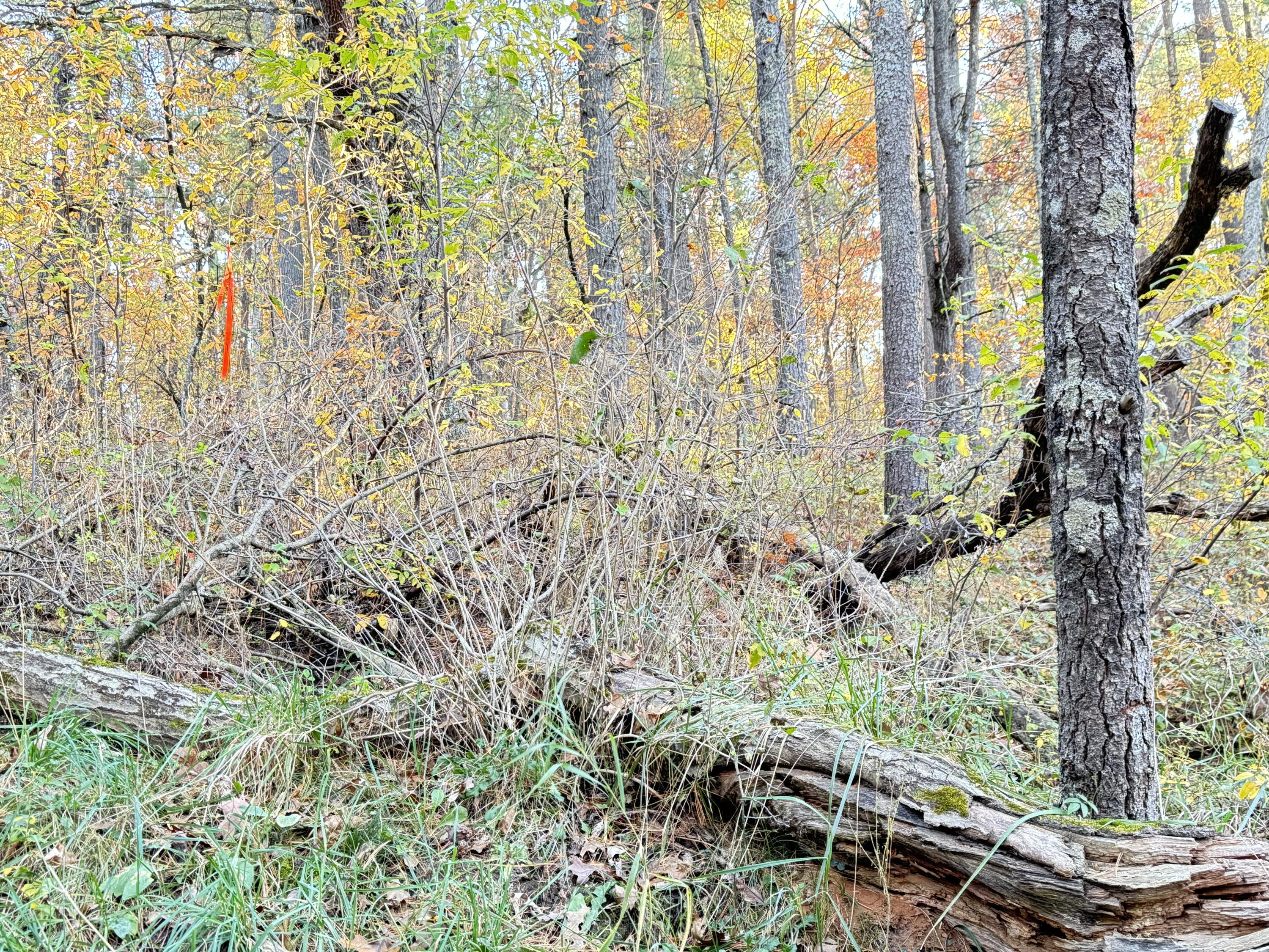 7.32AC E 58Th Street