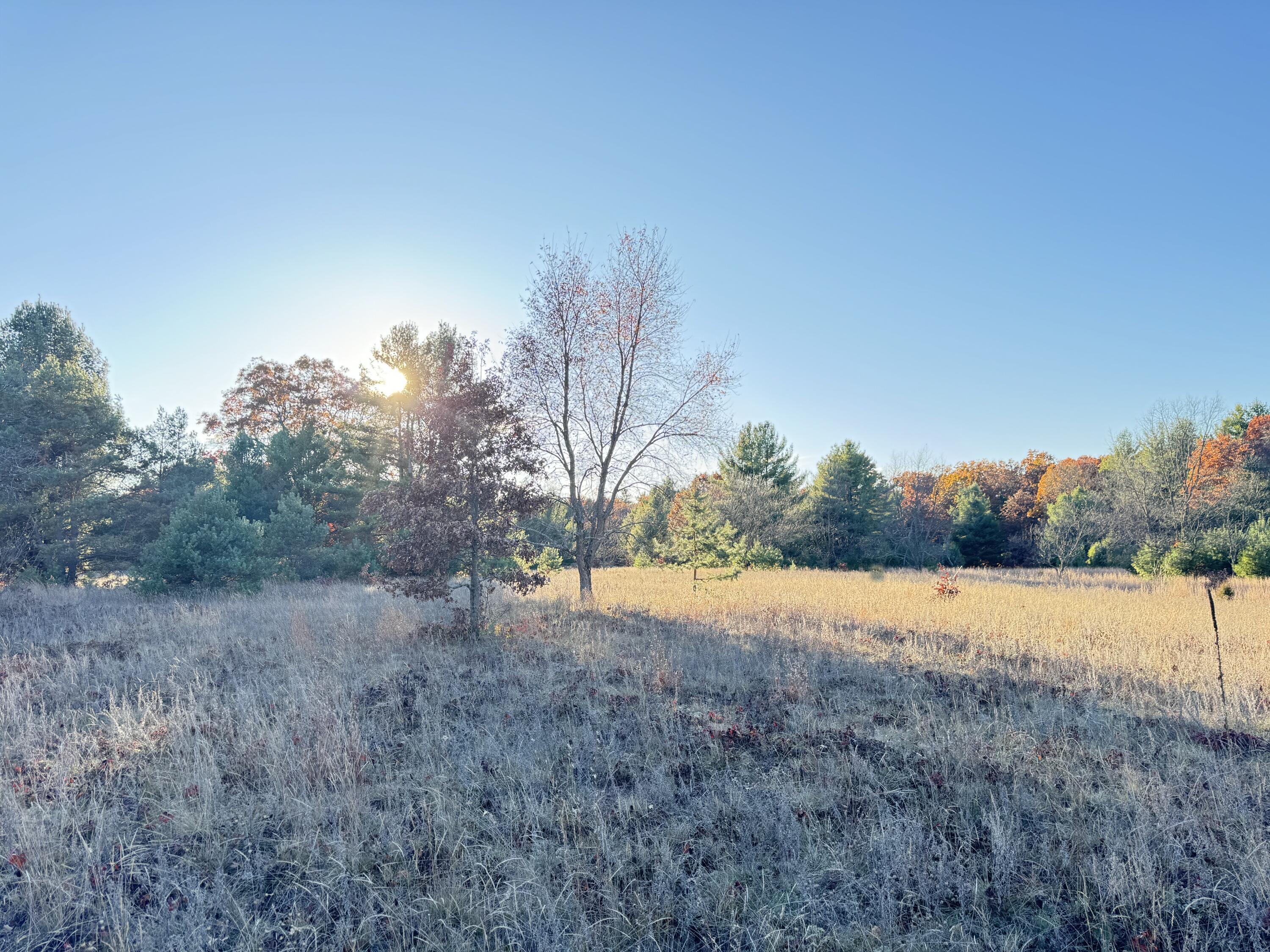 12.86AC Barberry Avenue