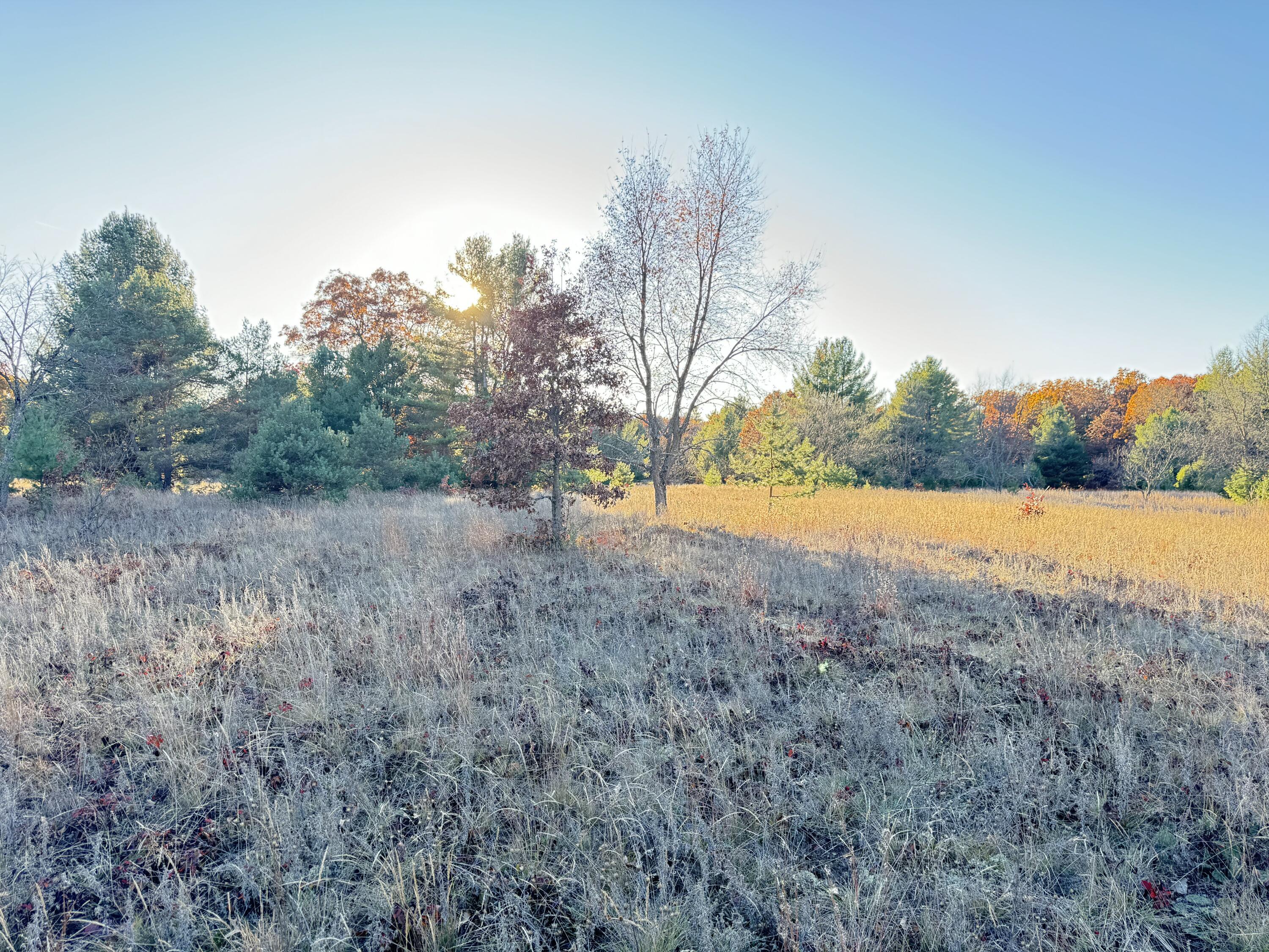 10.05ac Barberry Avenue