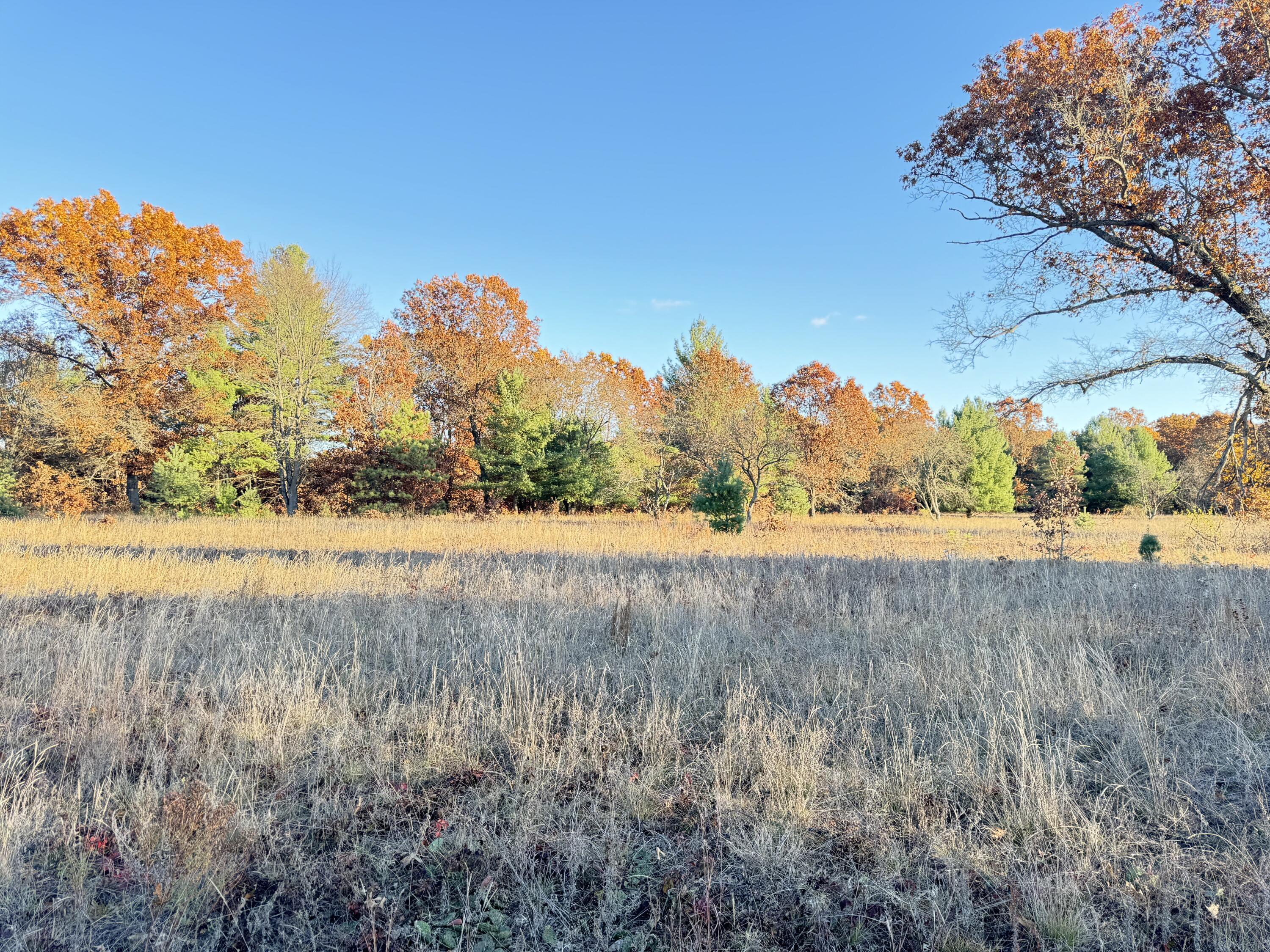 10.05ac Barberry Avenue