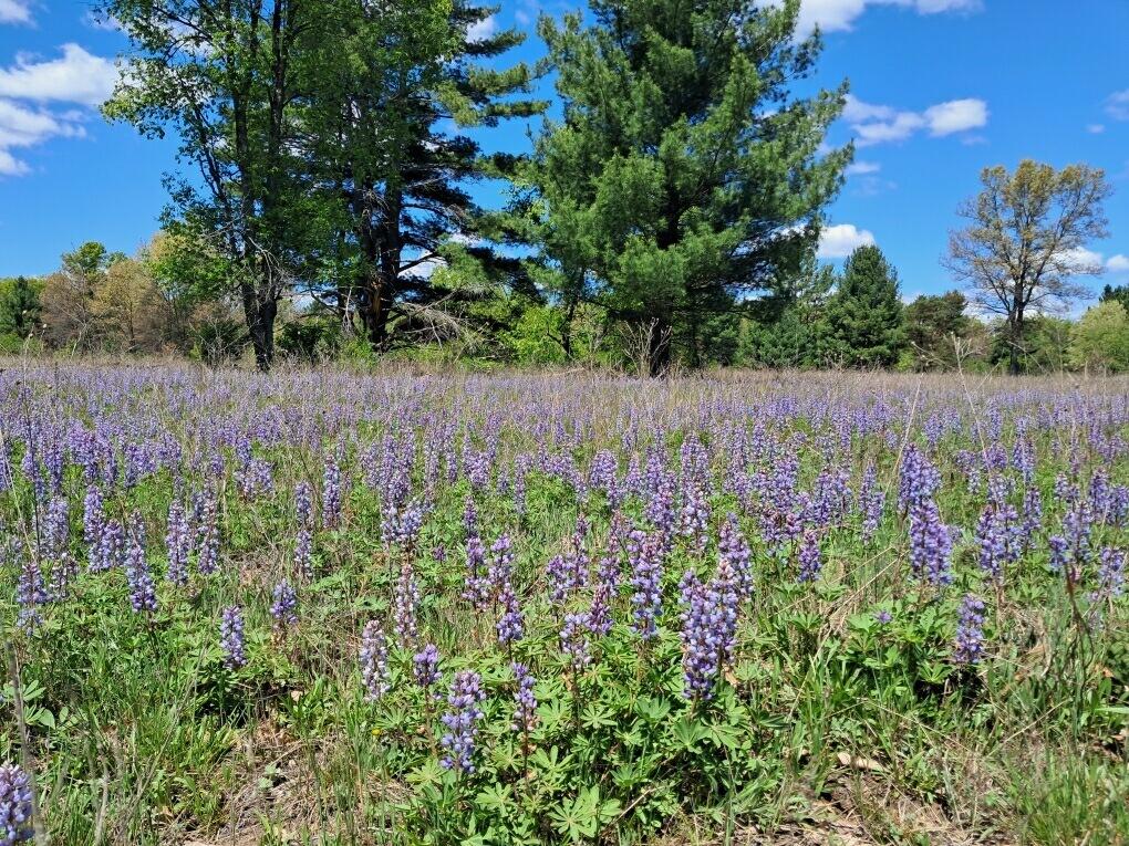 10.05ac Barberry Avenue