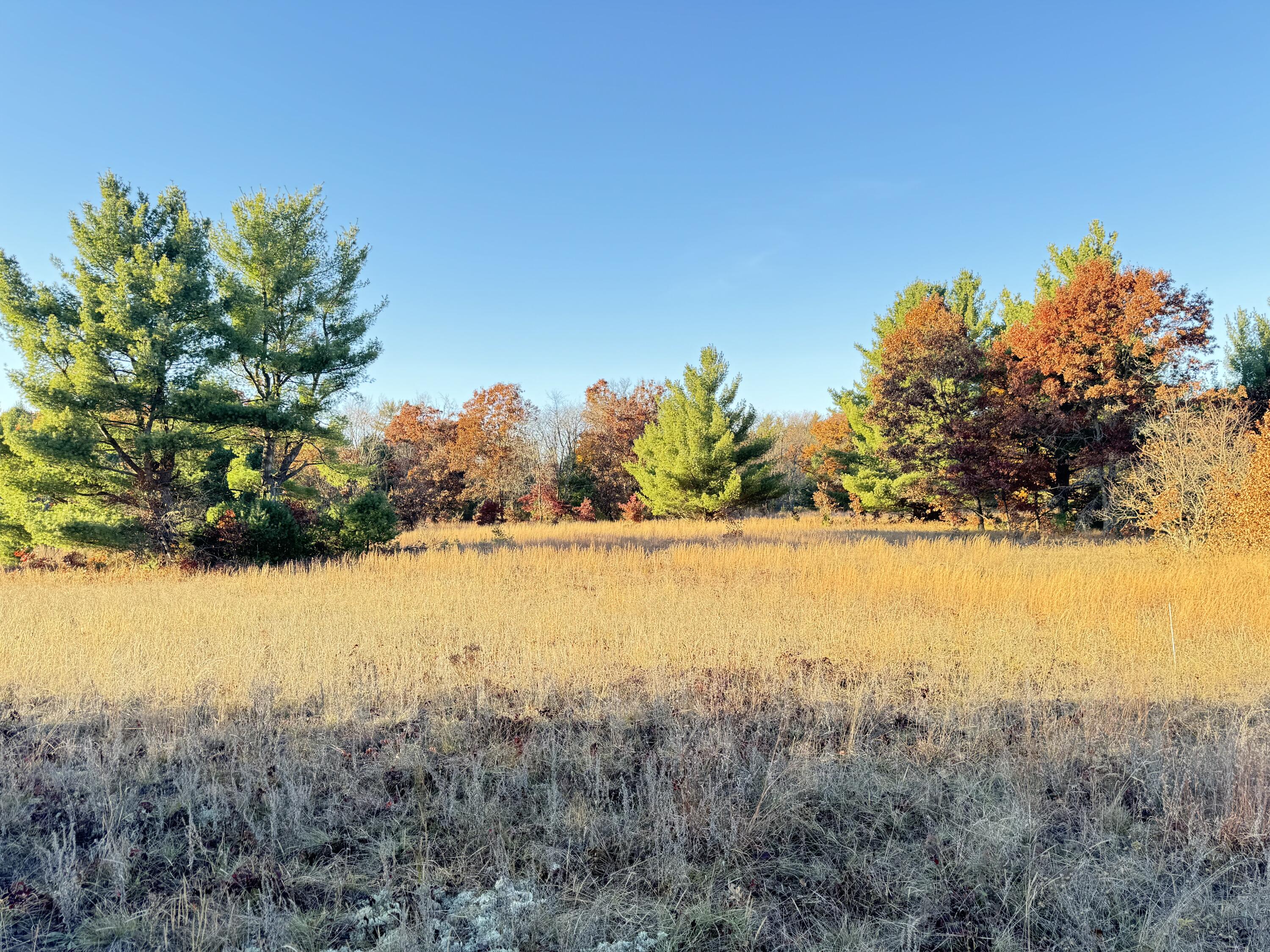 10.01AC Barberry Avenue