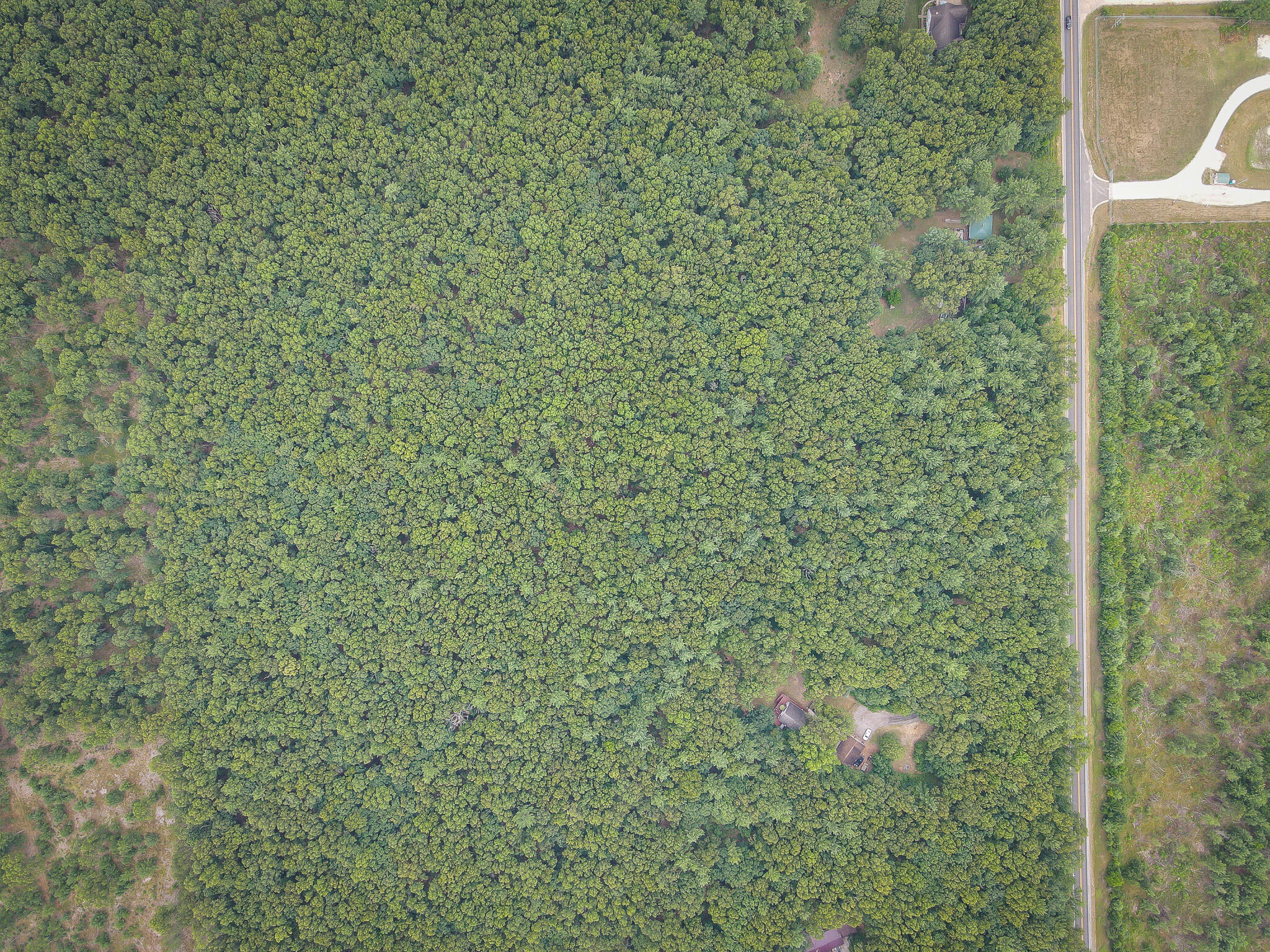 V/L W Holton Whitehall Road