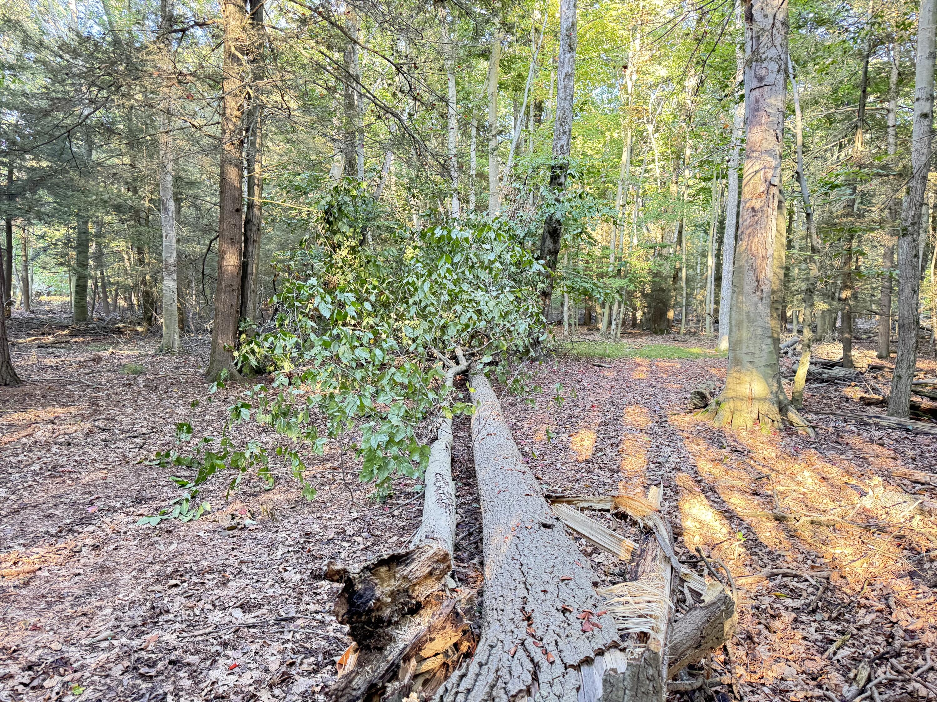 8367 W Stony Lake Road