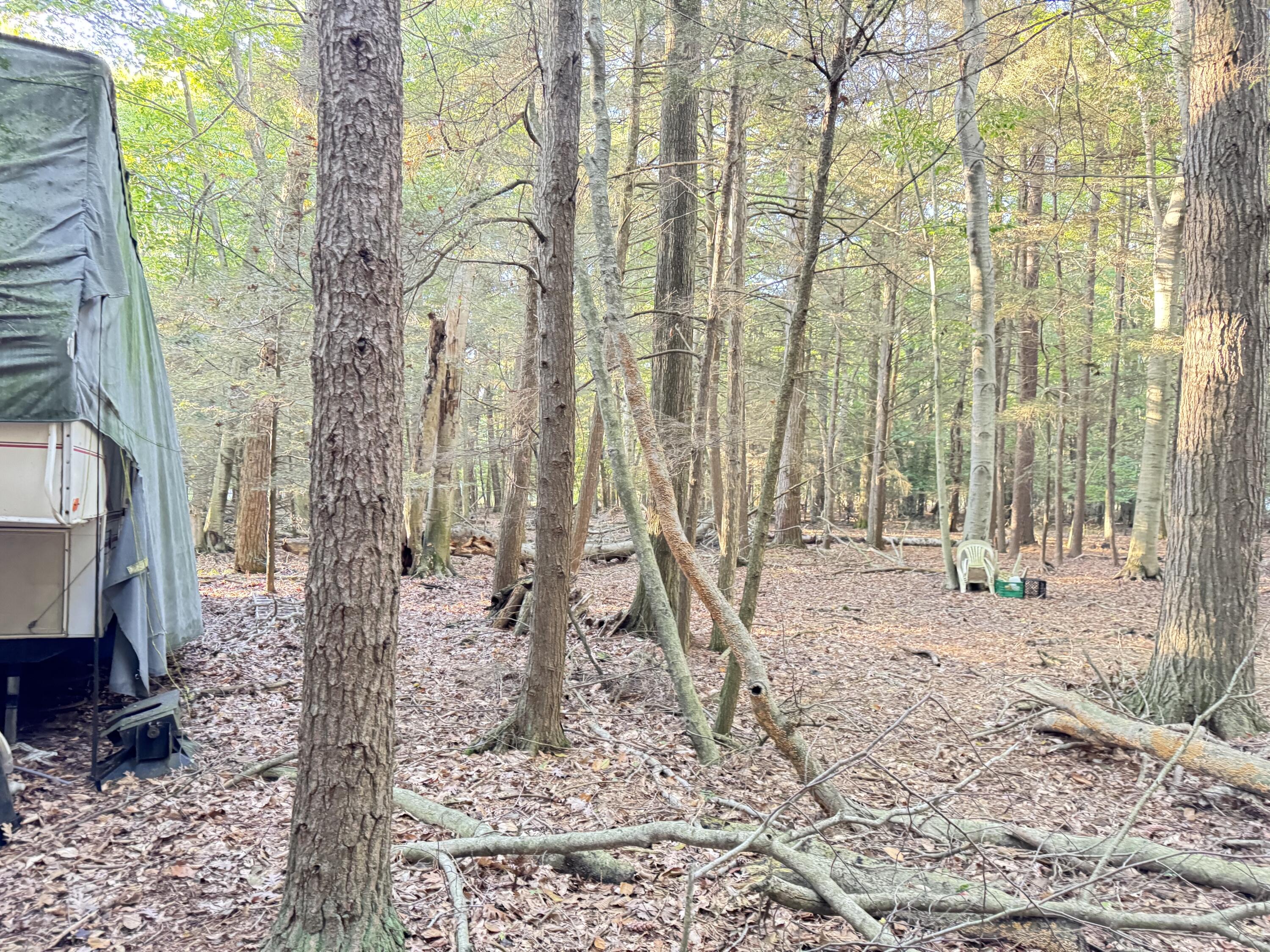 8367 W Stony Lake Road