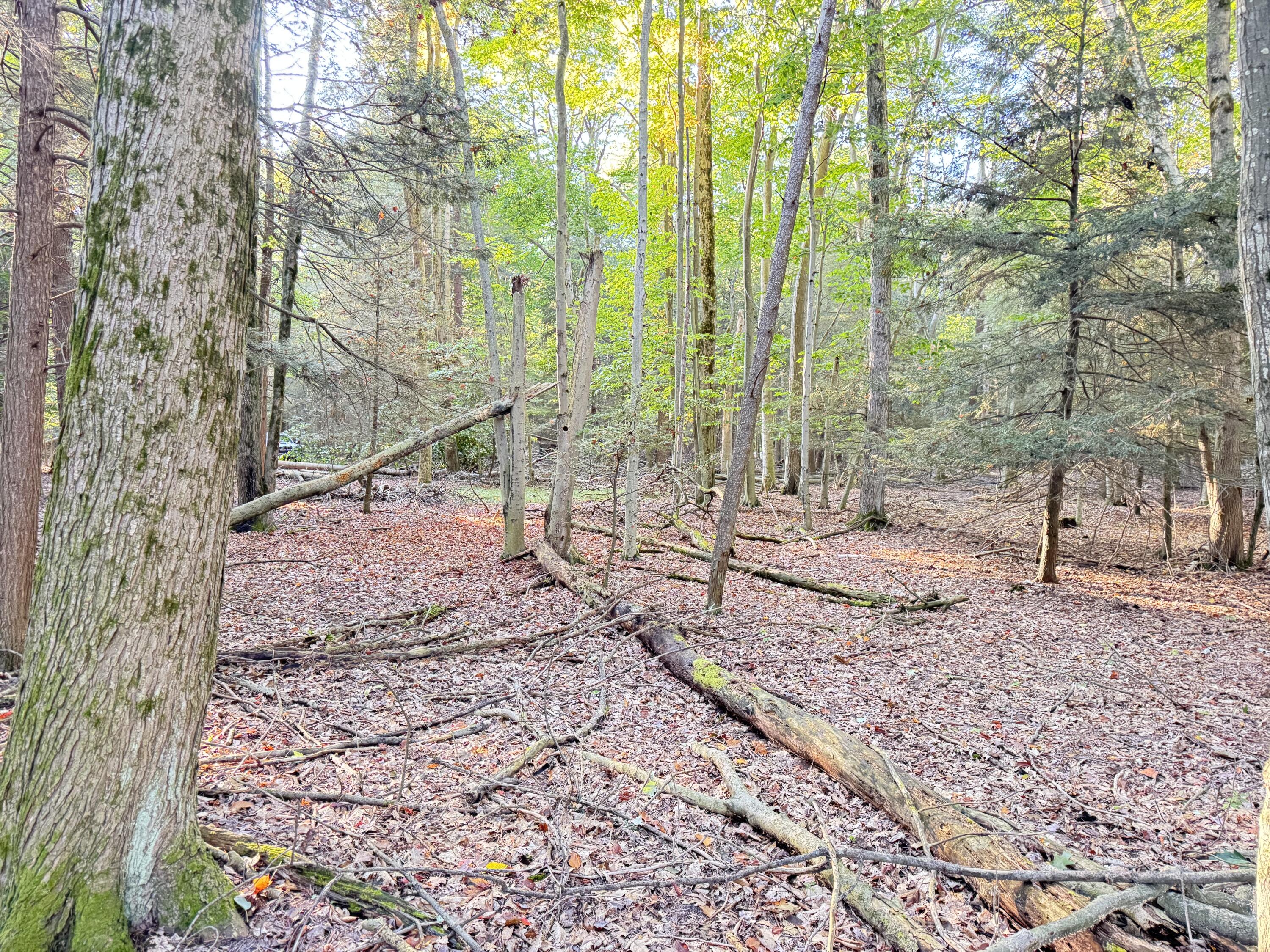 8367 W Stony Lake Road